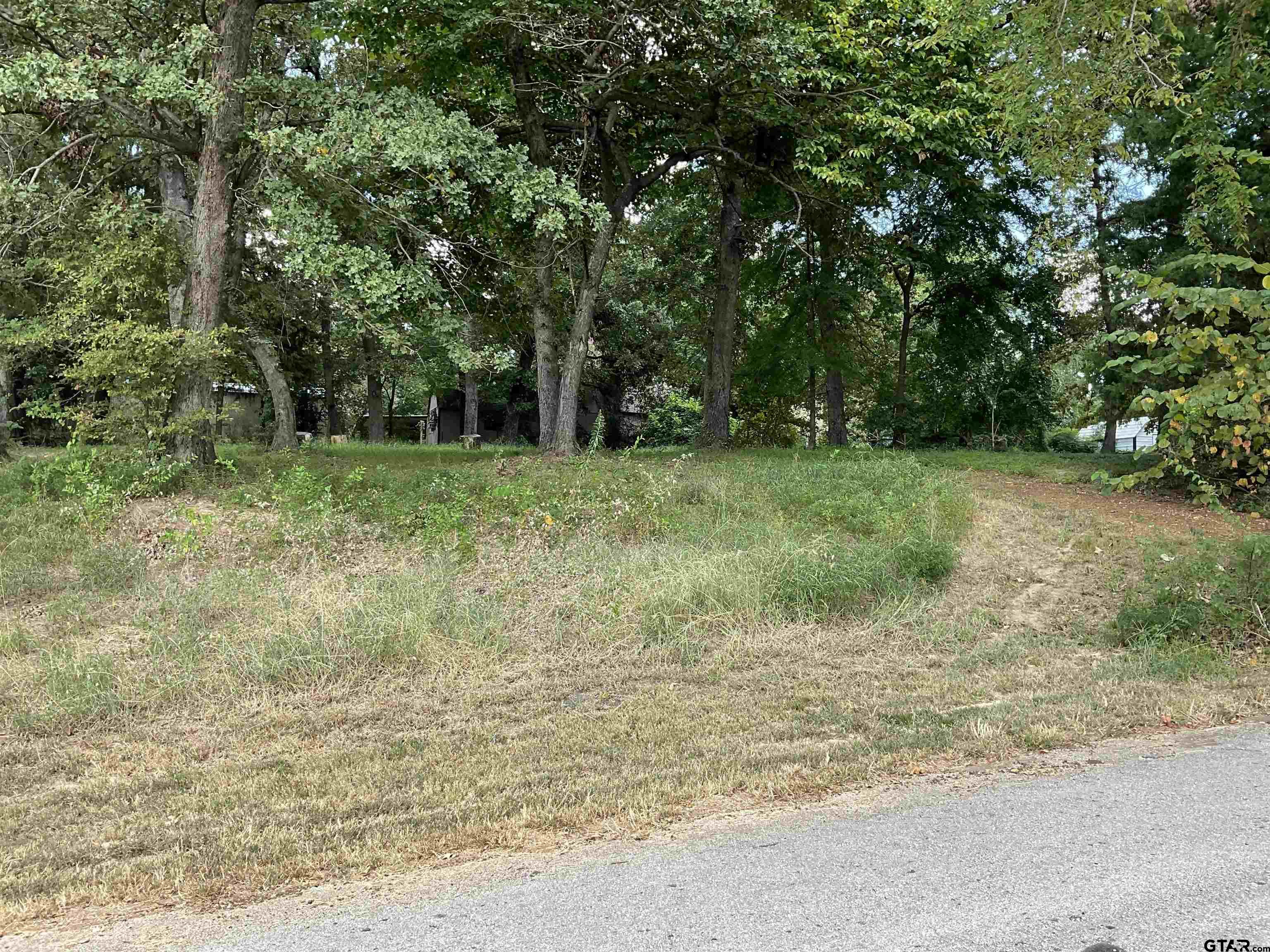 428 Martha, Bullard, Texas image 1