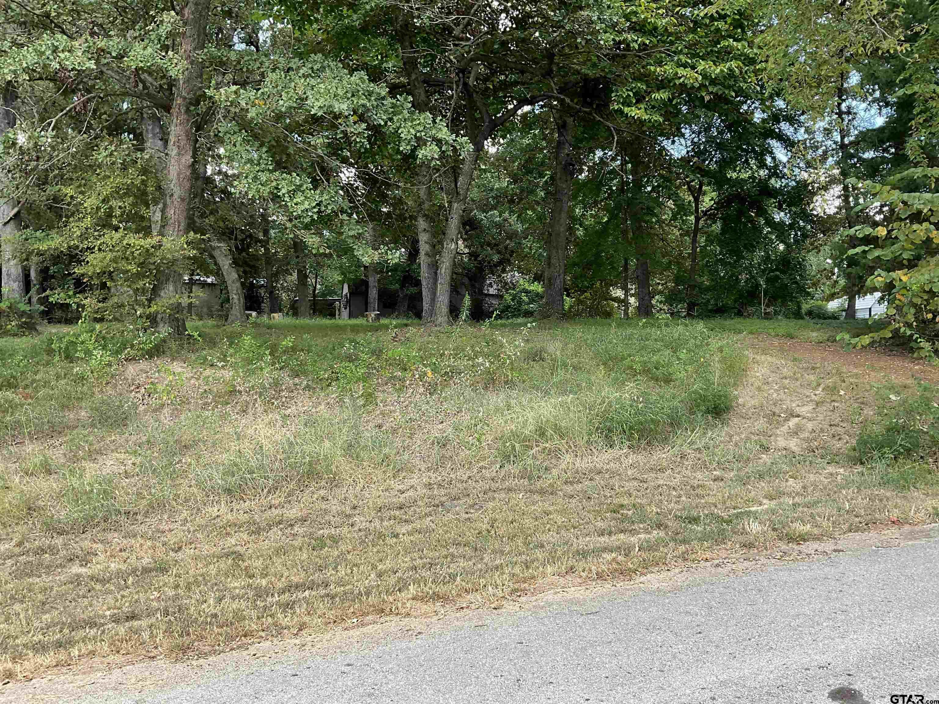 428 Martha, Bullard, Texas image 2
