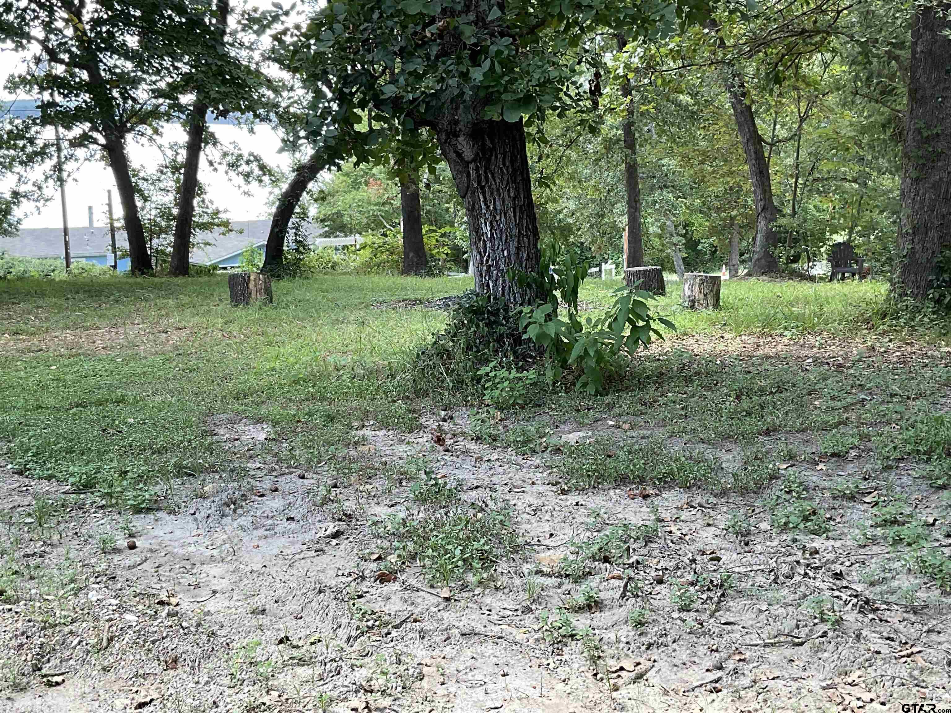 428 Martha, Bullard, Texas image 4