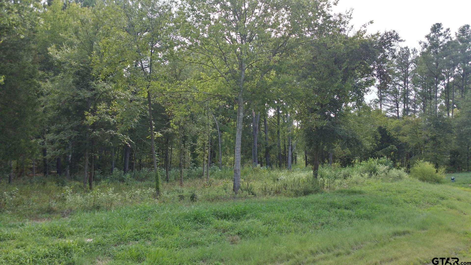 336 Grandview Dr, Athens, Texas image 2