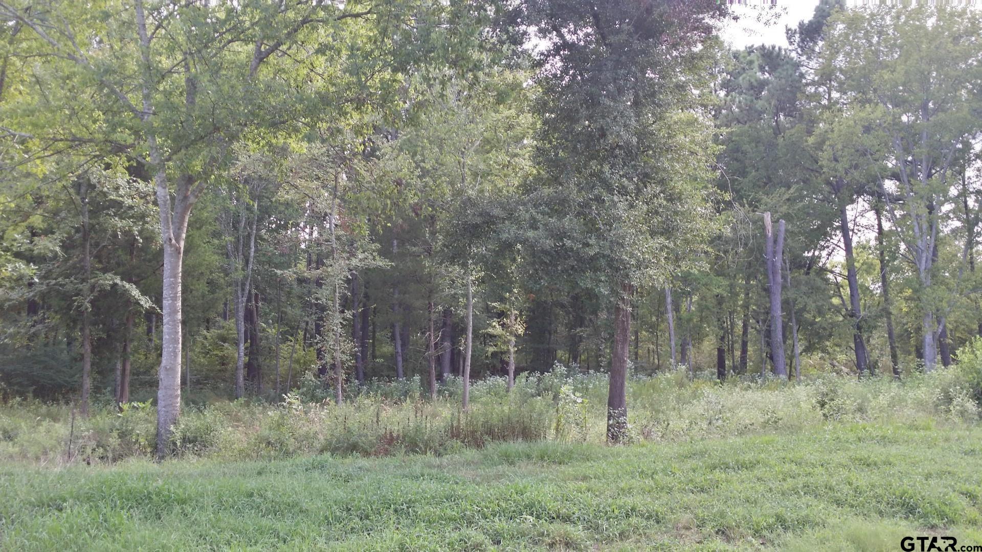 336 Grandview Dr, Athens, Texas image 3