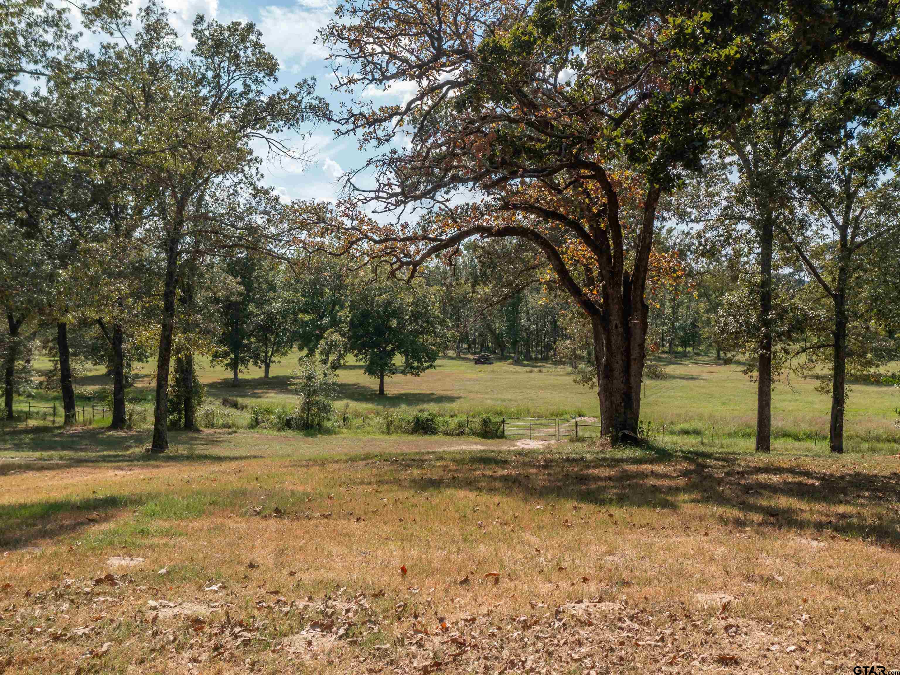 7965 Private Road 7408, Chandler, Texas image 34