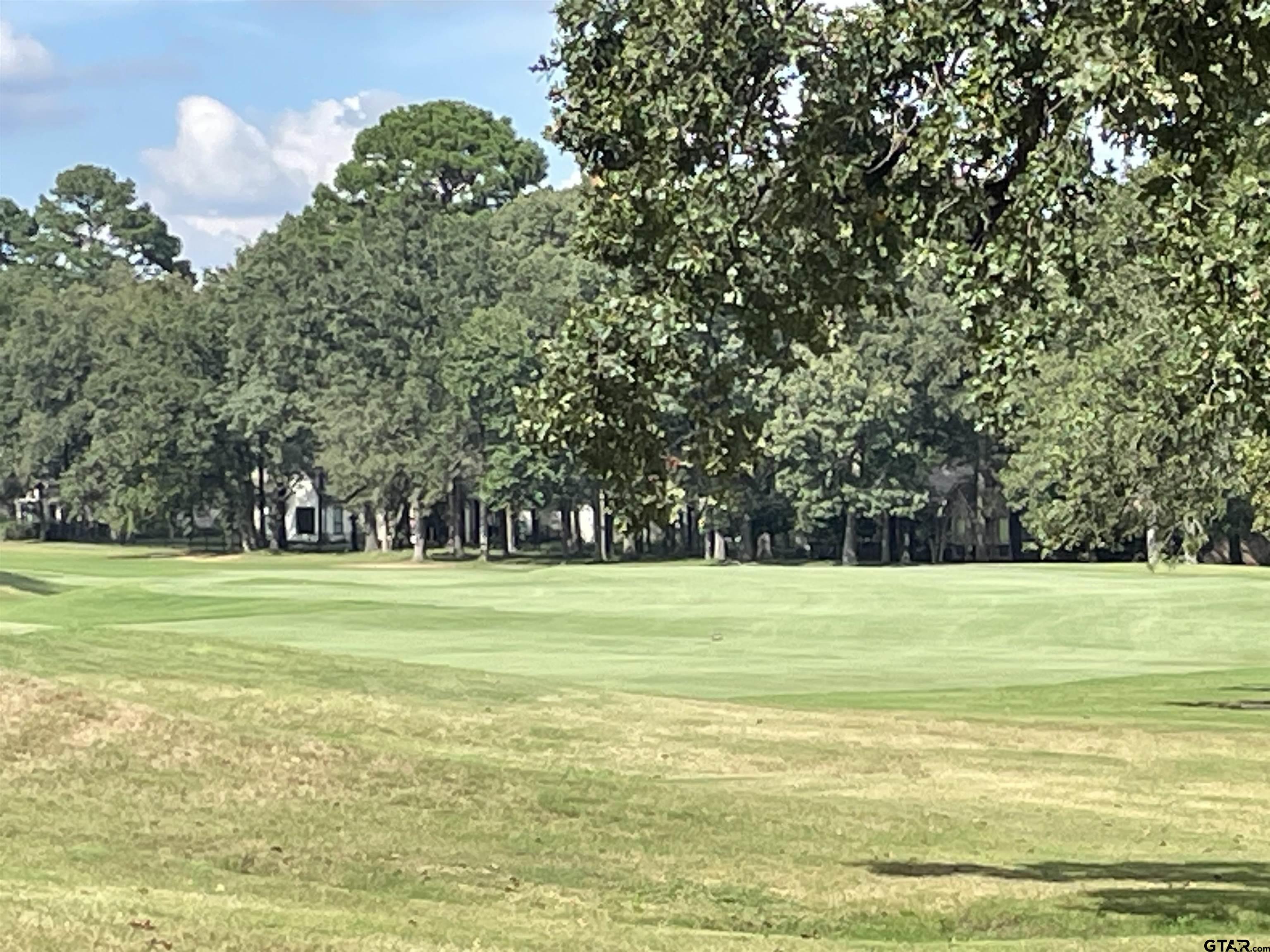 Lot 4 Dogwood Lakes Cr, Bullard, Texas image 11