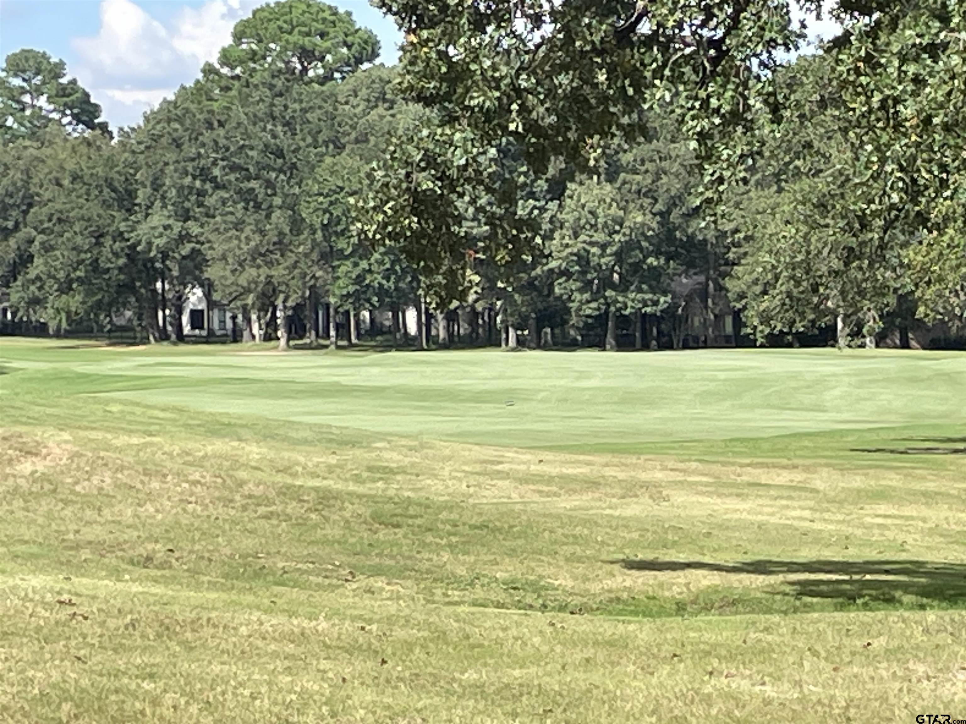 Lot 4 Dogwood Lakes Cr, Bullard, Texas image 13