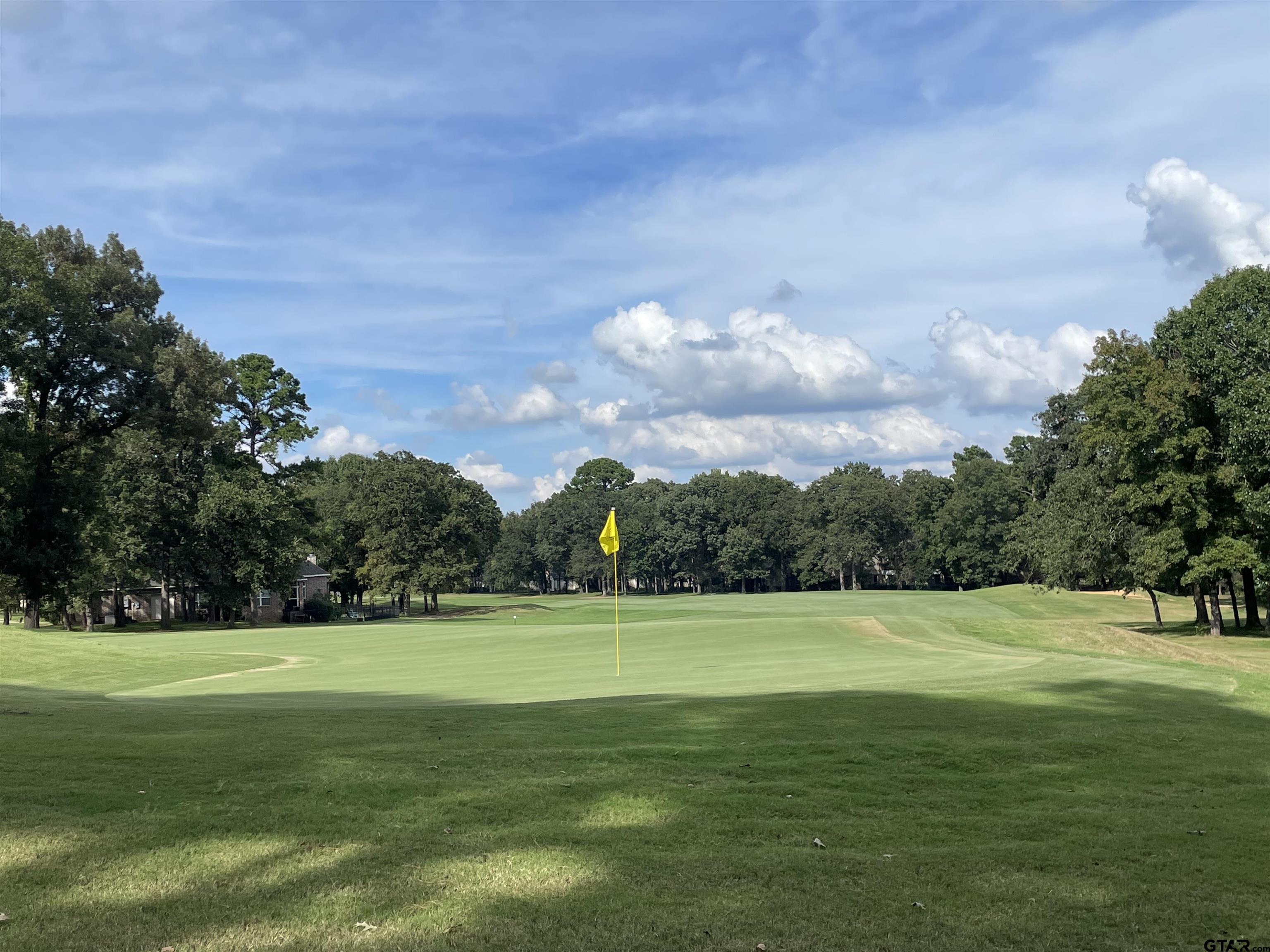Lot 4 Dogwood Lakes Cr, Bullard, Texas image 9