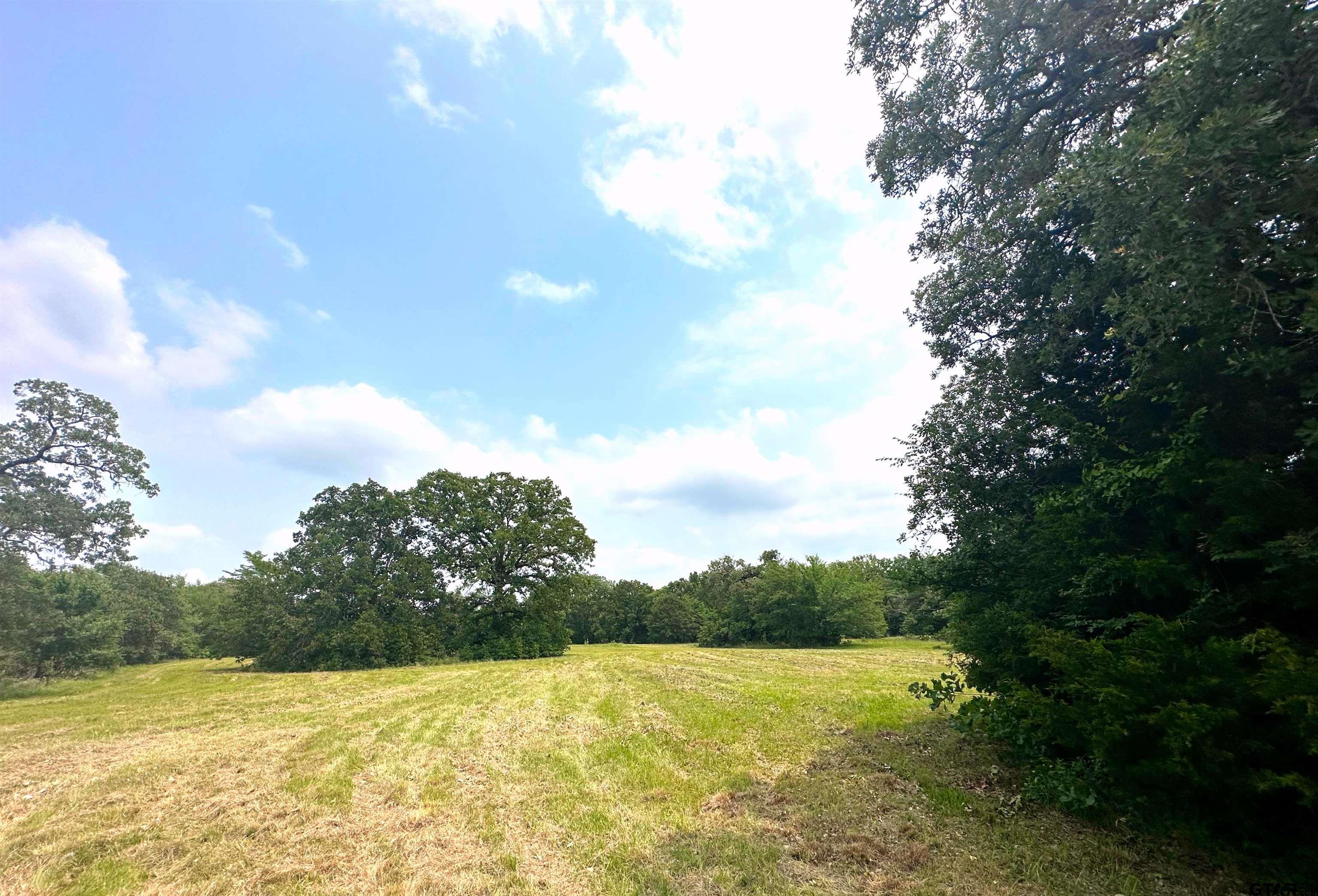 TBD Cr 1404 Lot 18, Athens, Texas image 1