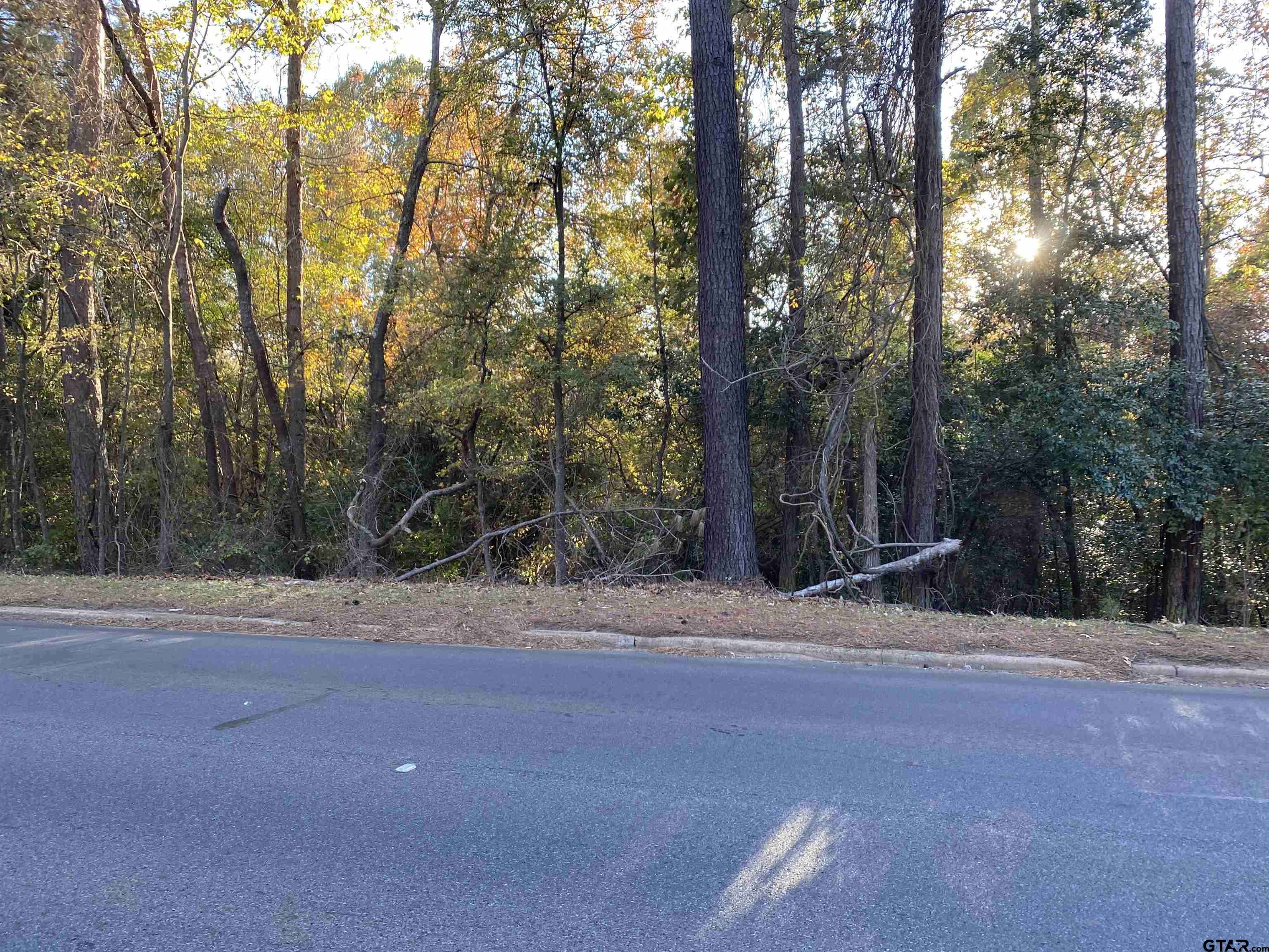 TBD Hwy 69, Rusk, Texas image 3