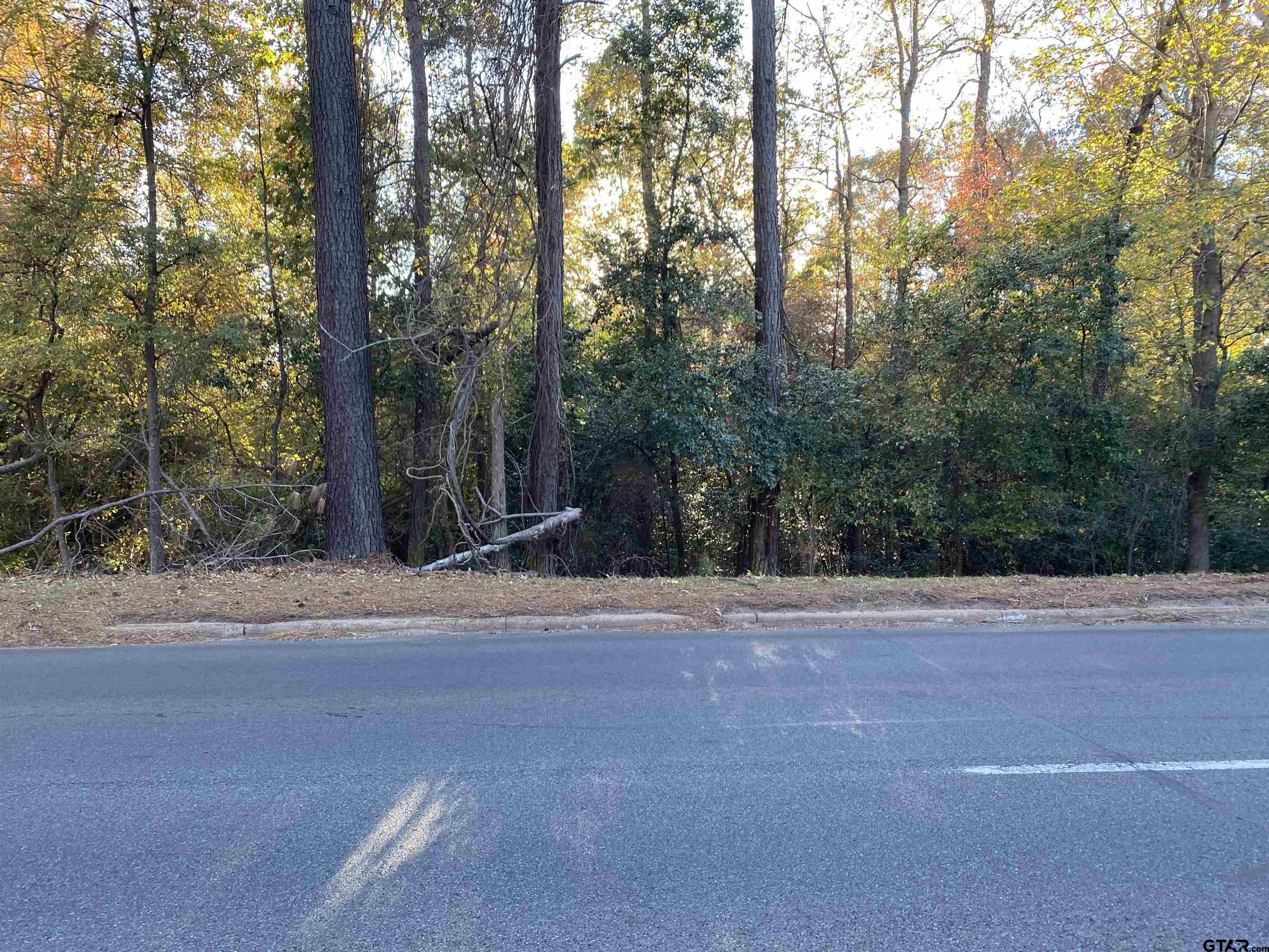 TBD Hwy 69, Rusk, Texas image 4