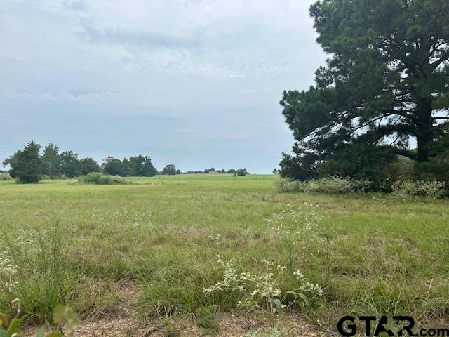 135 Cr 3605, Bullard, Texas image 40