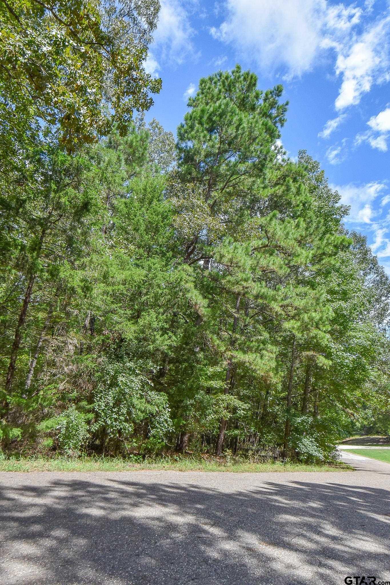 TBD Cr 2337 Lot 1, Tyler, Texas image 1