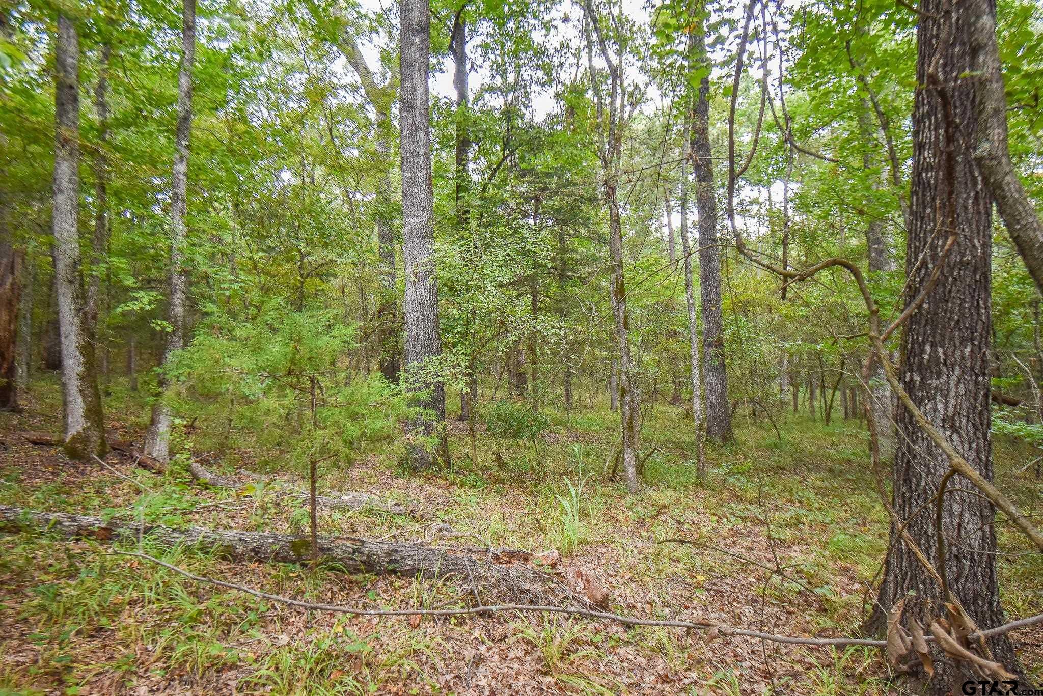 TBD Cr 2337 Lot 1, Tyler, Texas image 2