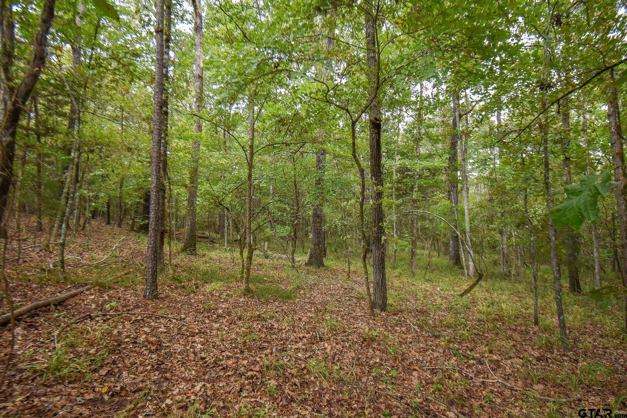 TBD Cr 2337 Lot 1, Tyler, Texas image 3