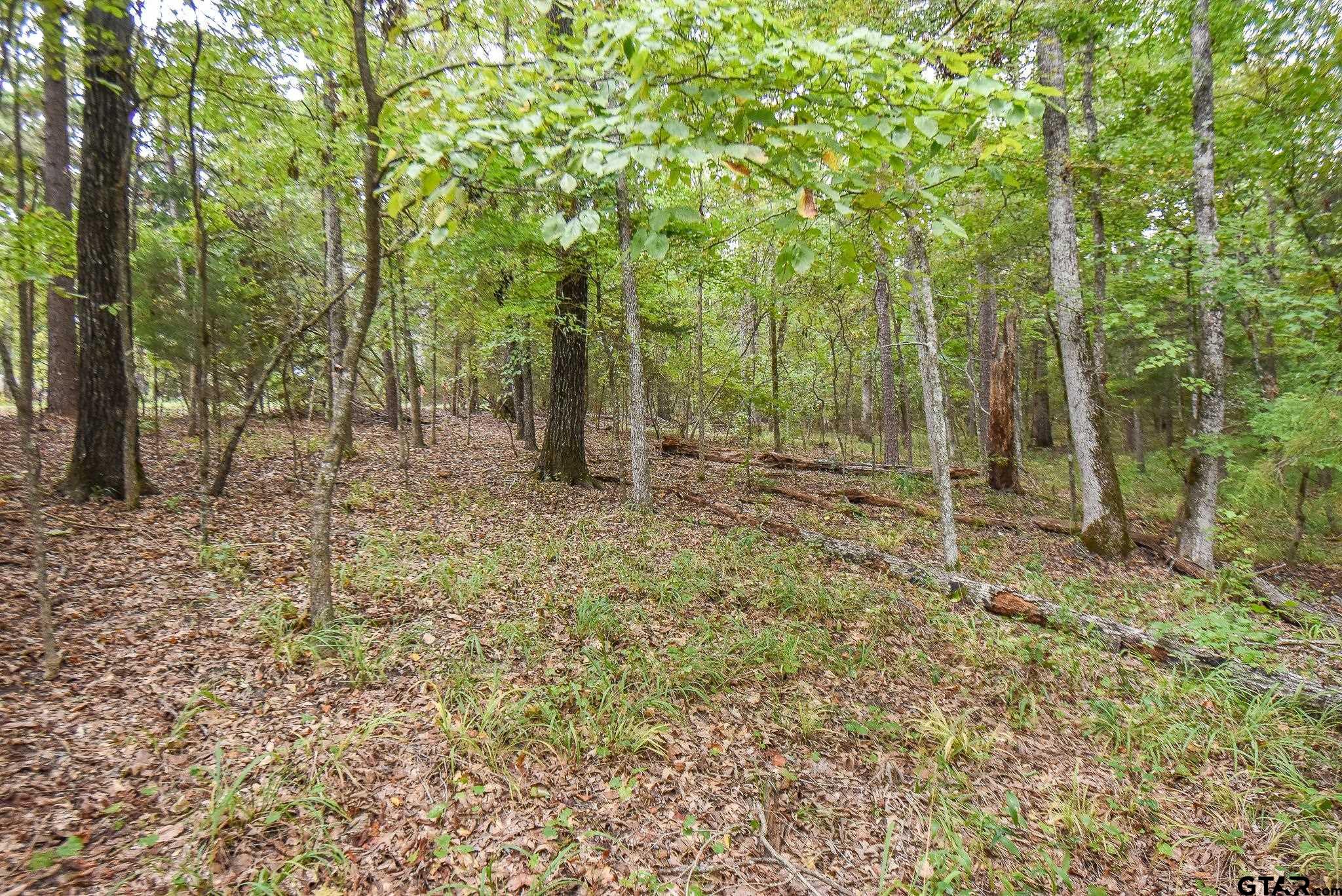 TBD Cr 2337 Lot 1, Tyler, Texas image 4