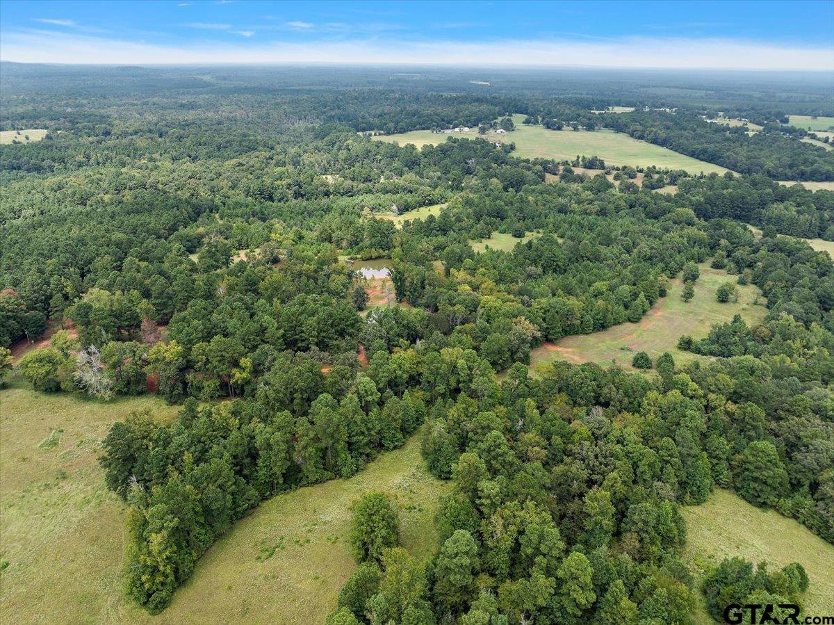 930 County Road 2514, Alto, Texas image 11