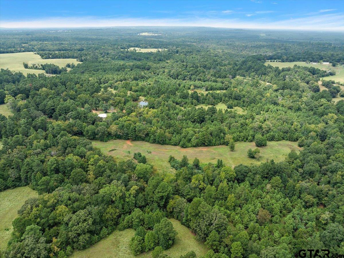 930 County Road 2514, Alto, Texas image 12