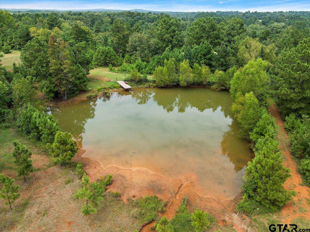 930 County Road 2514, Alto, Texas image 14