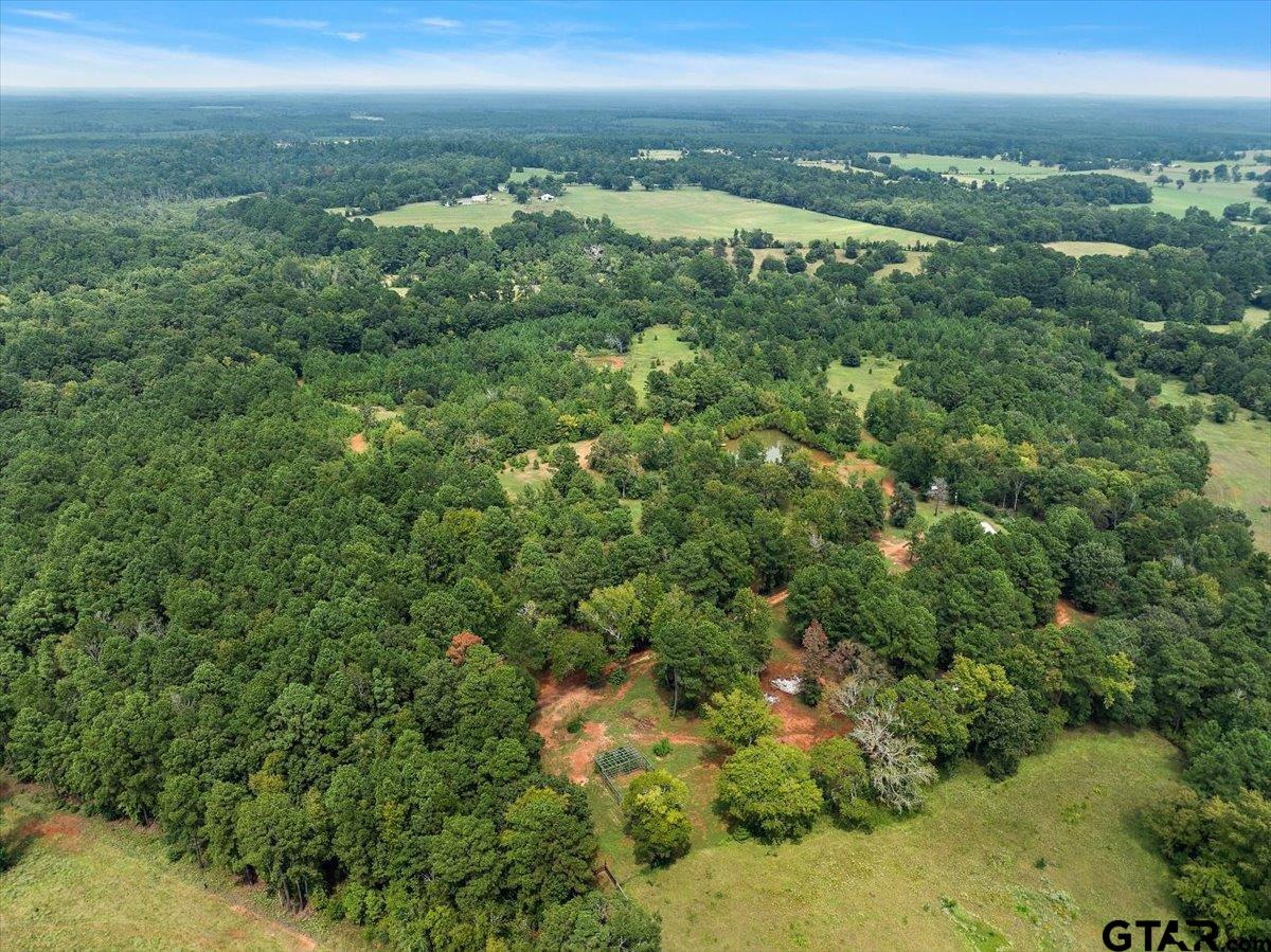 930 County Road 2514, Alto, Texas image 5