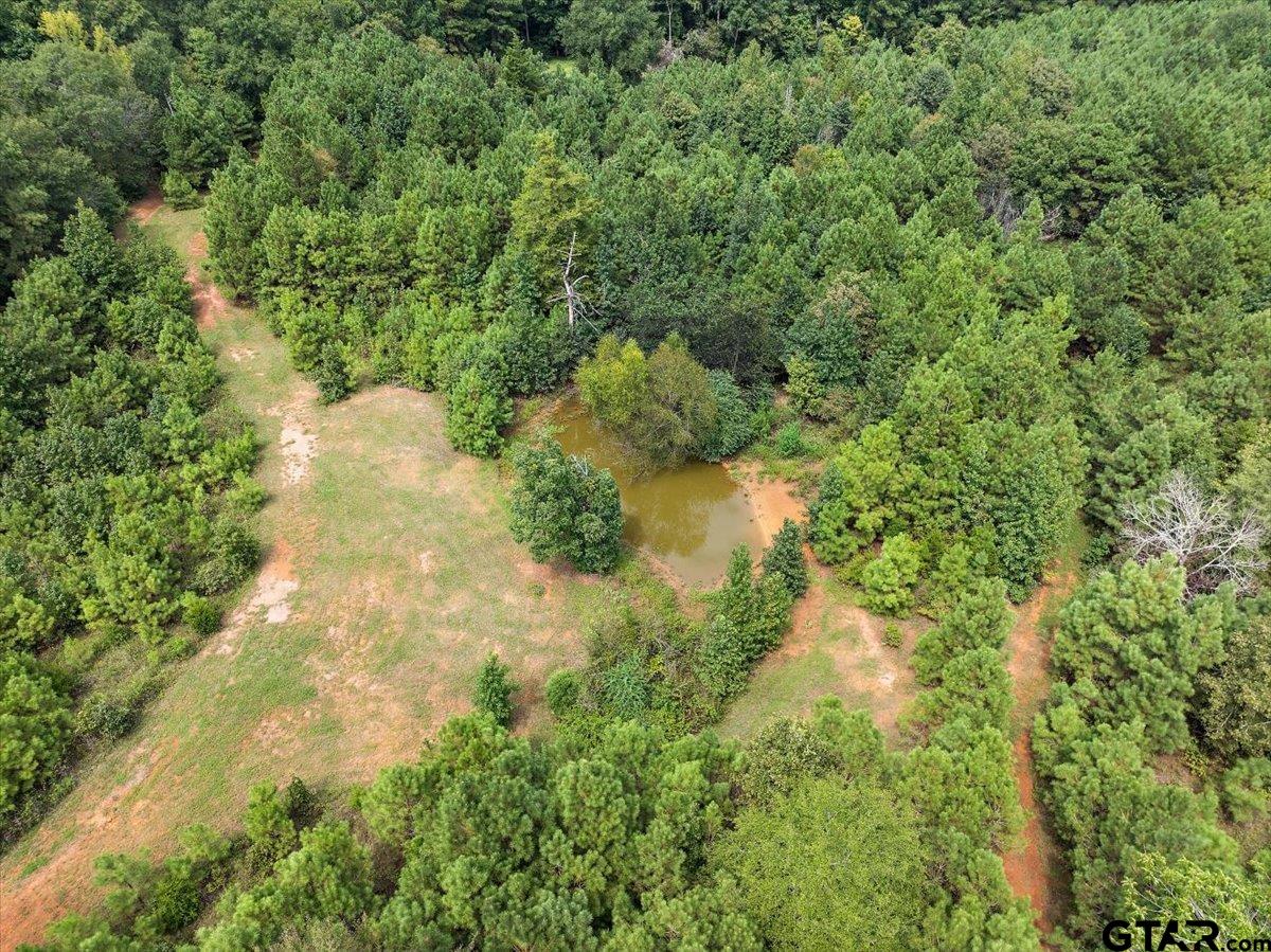 930 County Road 2514, Alto, Texas image 7