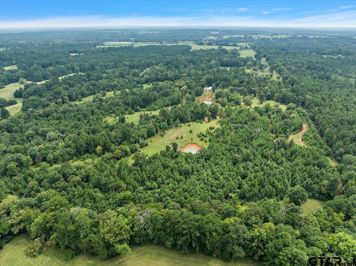 930 County Road 2514, Alto, Texas image 8