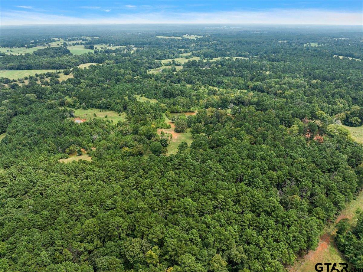 930 County Road 2514, Alto, Texas image 9