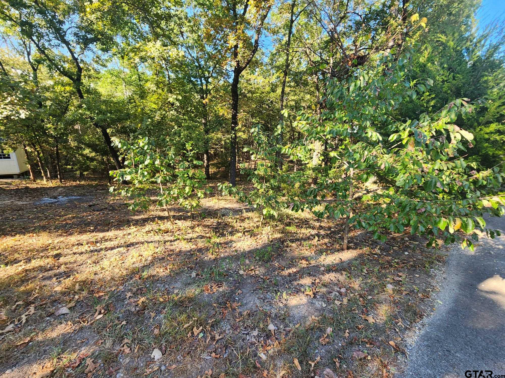 TBD Pr 5816, Yantis, Texas image 27