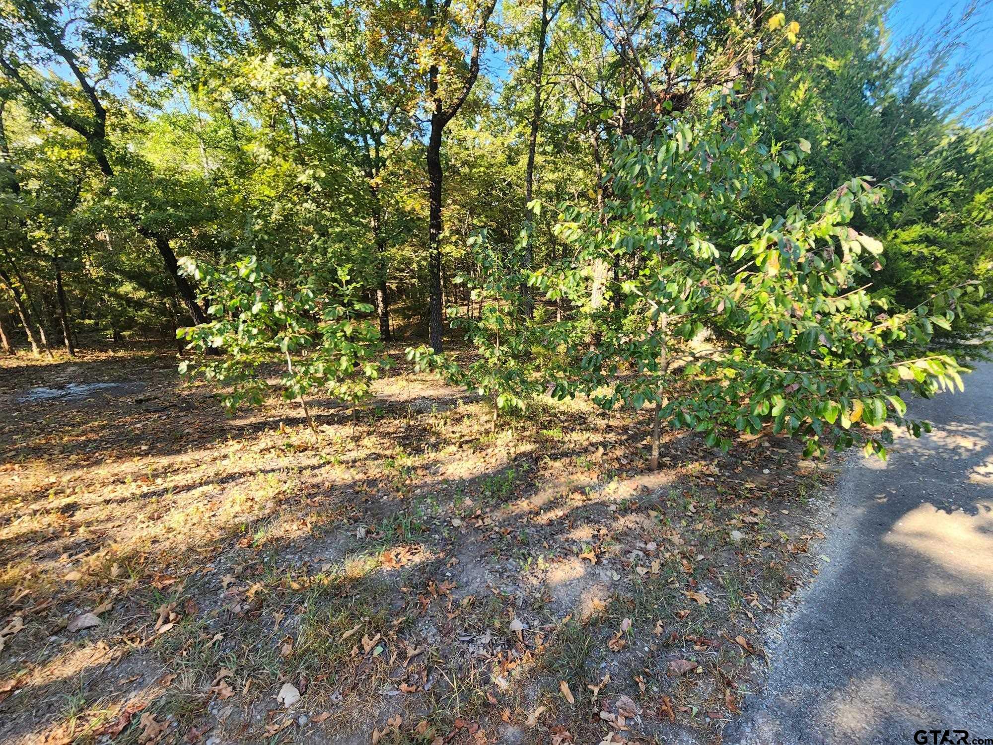 TBD Pr 5816, Yantis, Texas image 28