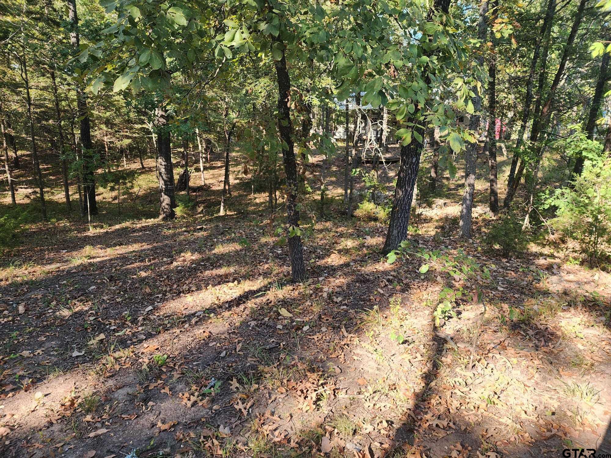 TBD Pr 5816, Yantis, Texas image 4
