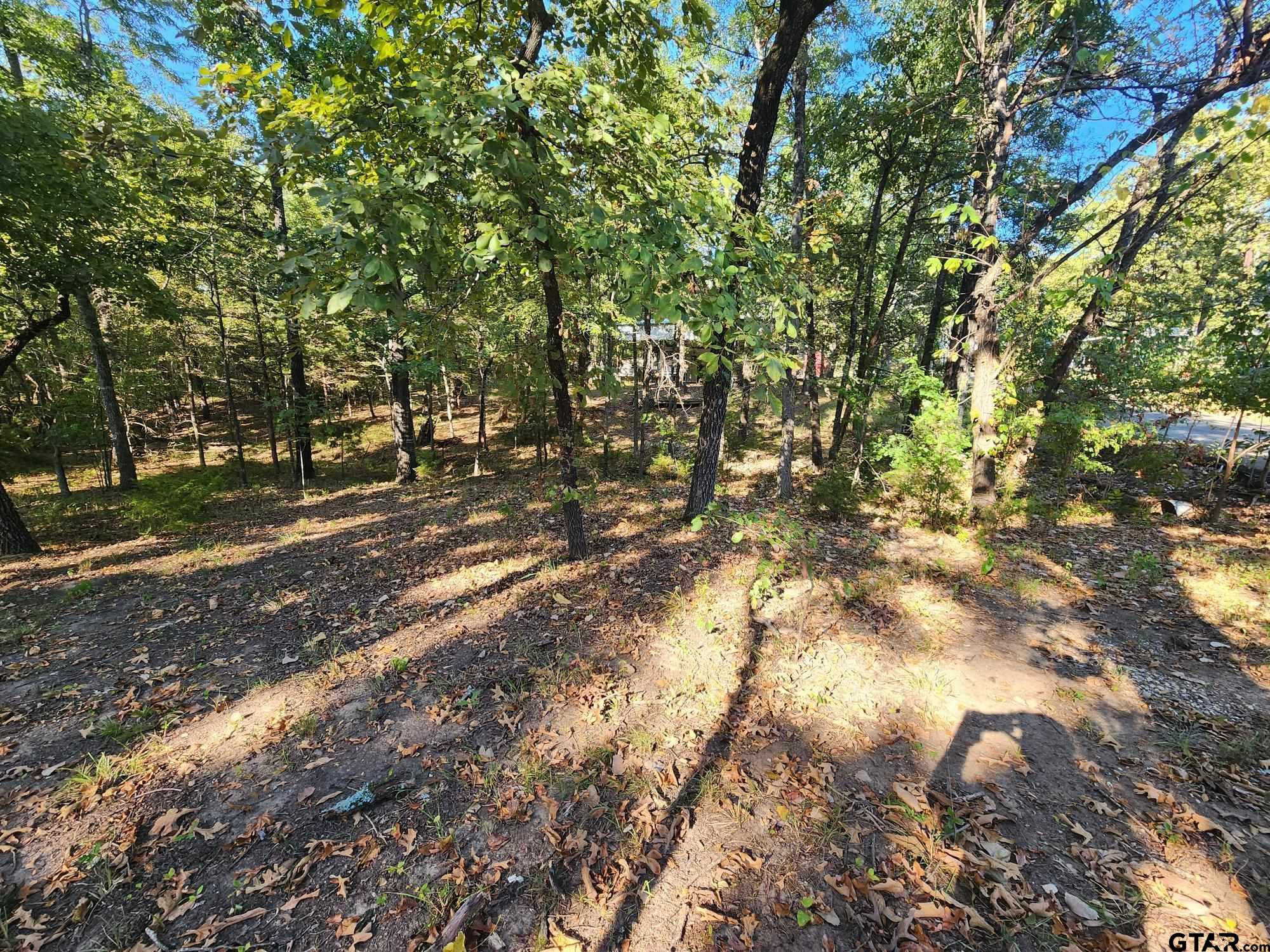 TBD Pr 5816, Yantis, Texas image 5