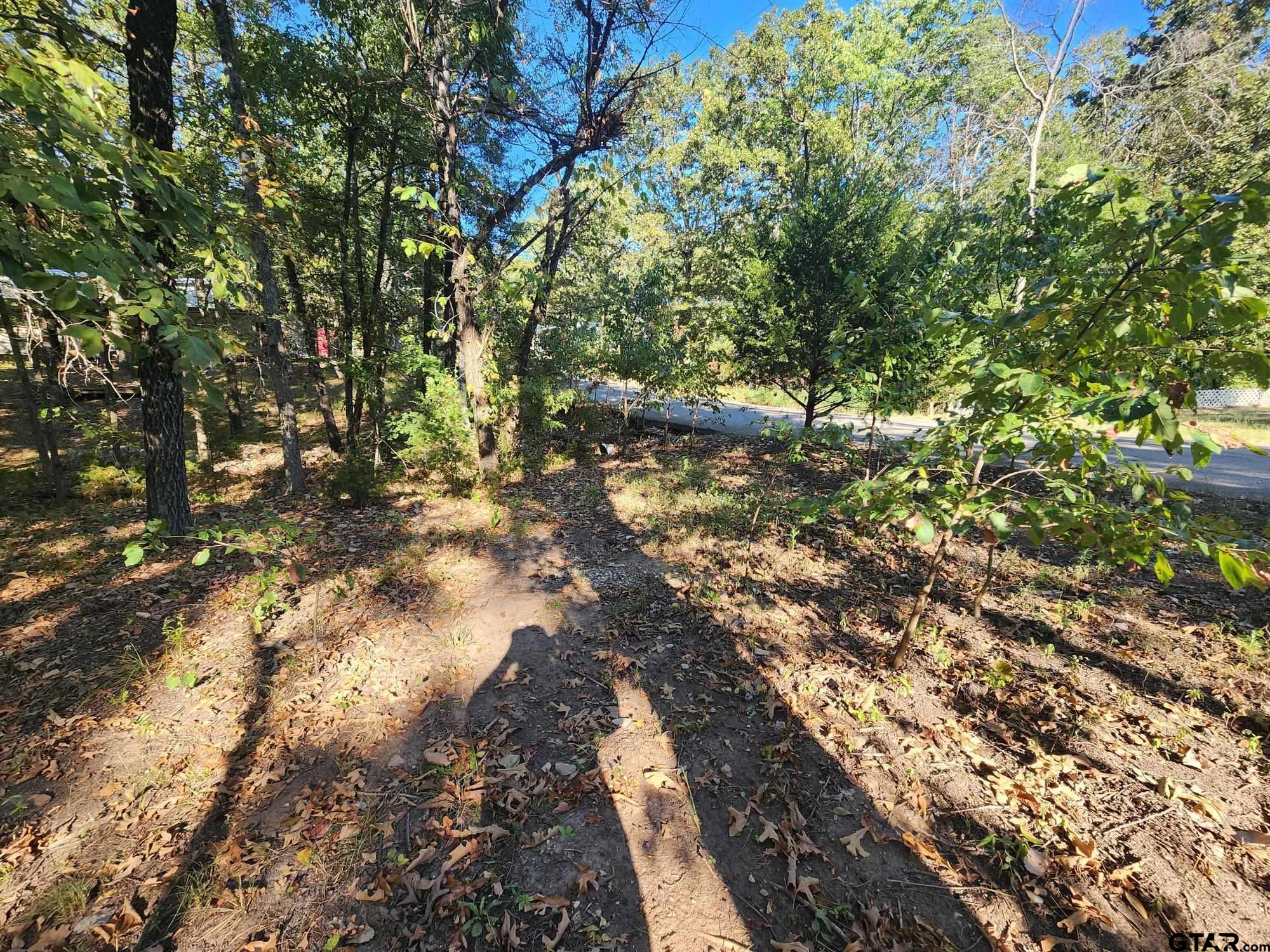 TBD Pr 5816, Yantis, Texas image 7