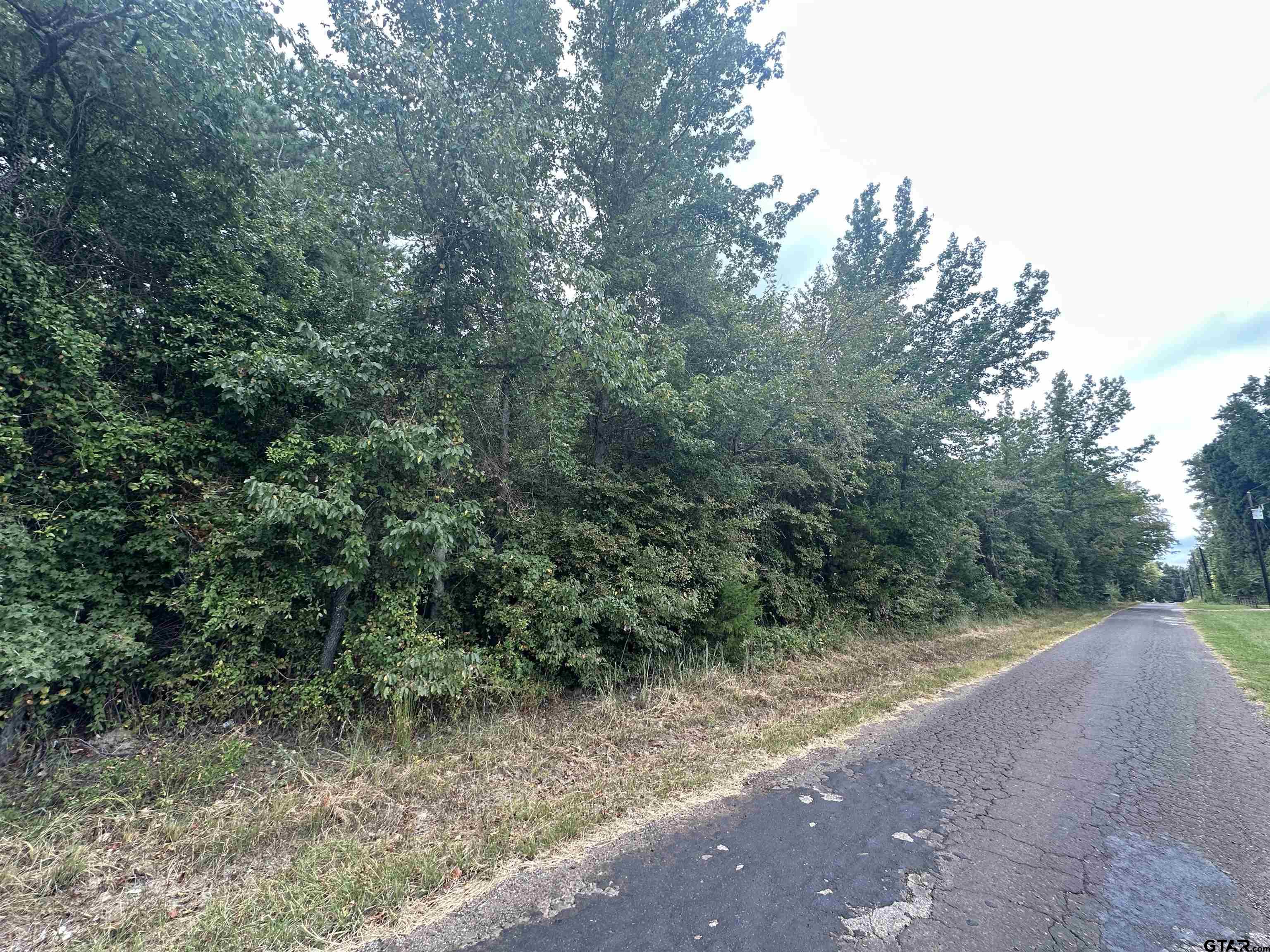 Tract 1 Woodchuck Road, Winnsboro, Texas image 4