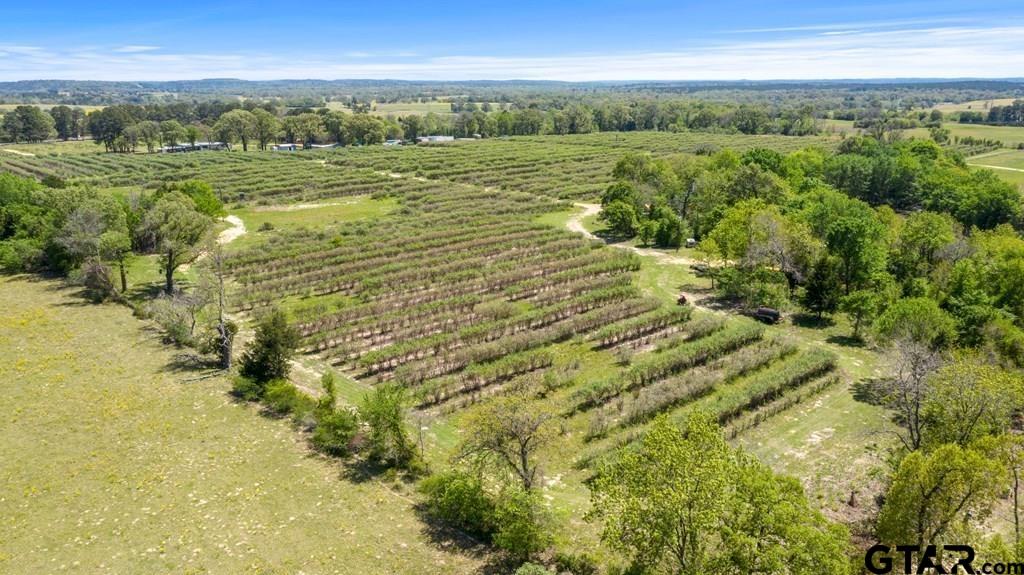12462 Fm 2588, LaRue, Texas image 11