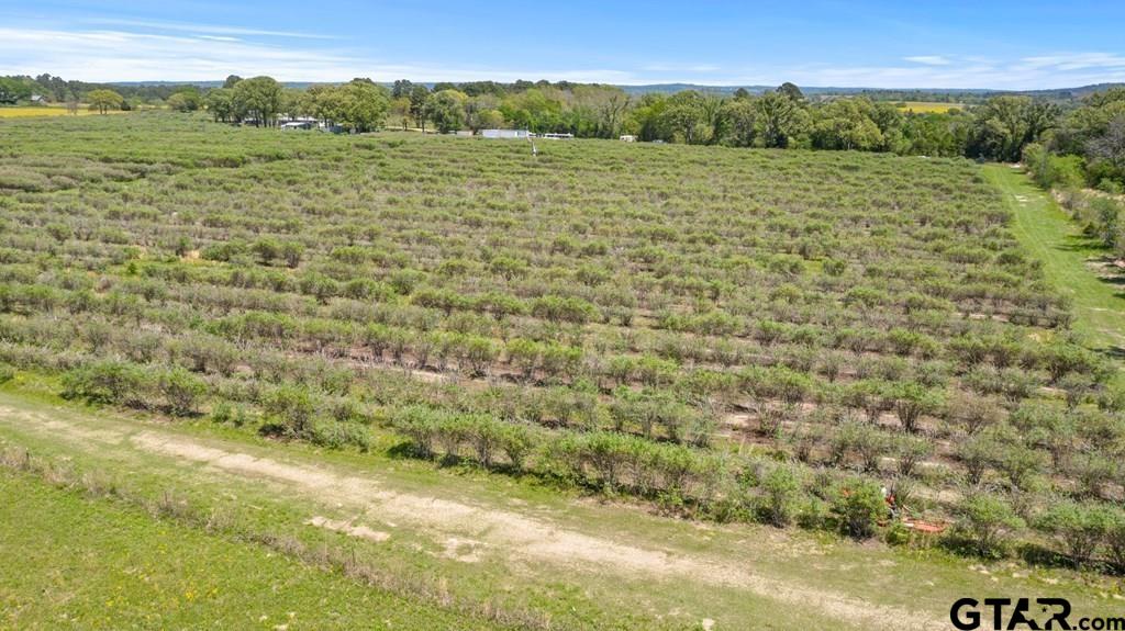 12462 Fm 2588, LaRue, Texas image 13