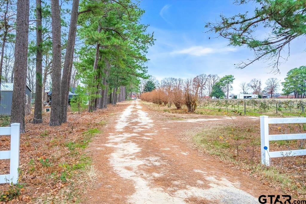 12462 Fm 2588, LaRue, Texas image 17