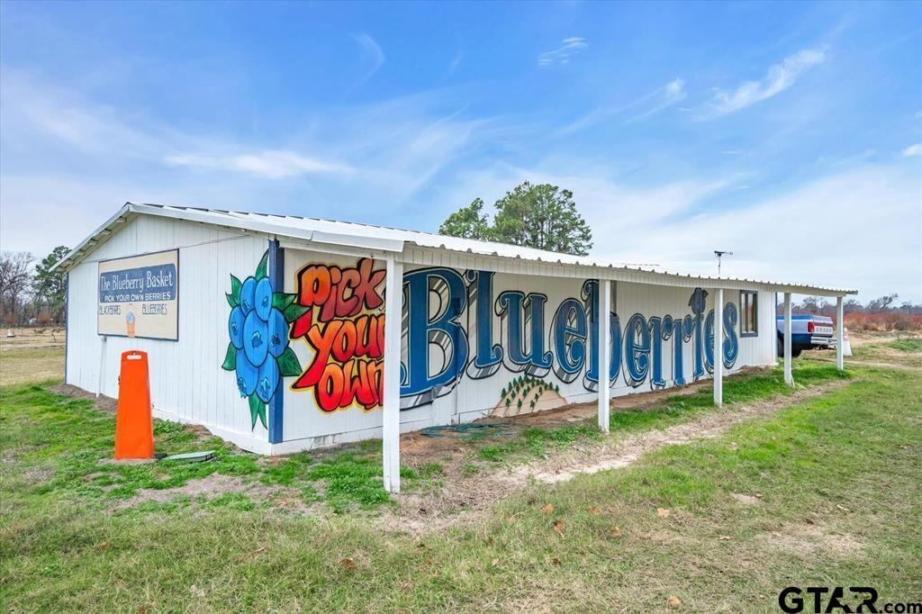 12462 Fm 2588, LaRue, Texas image 3