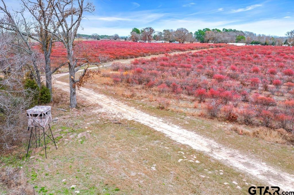 12462 Fm 2588, LaRue, Texas image 25