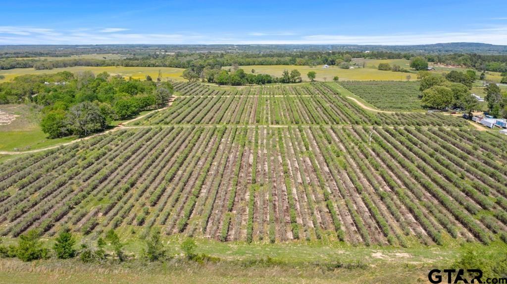 12462 Fm 2588, LaRue, Texas image 8