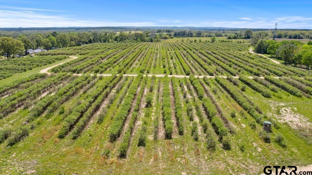 12462 Fm 2588, LaRue, Texas image 10