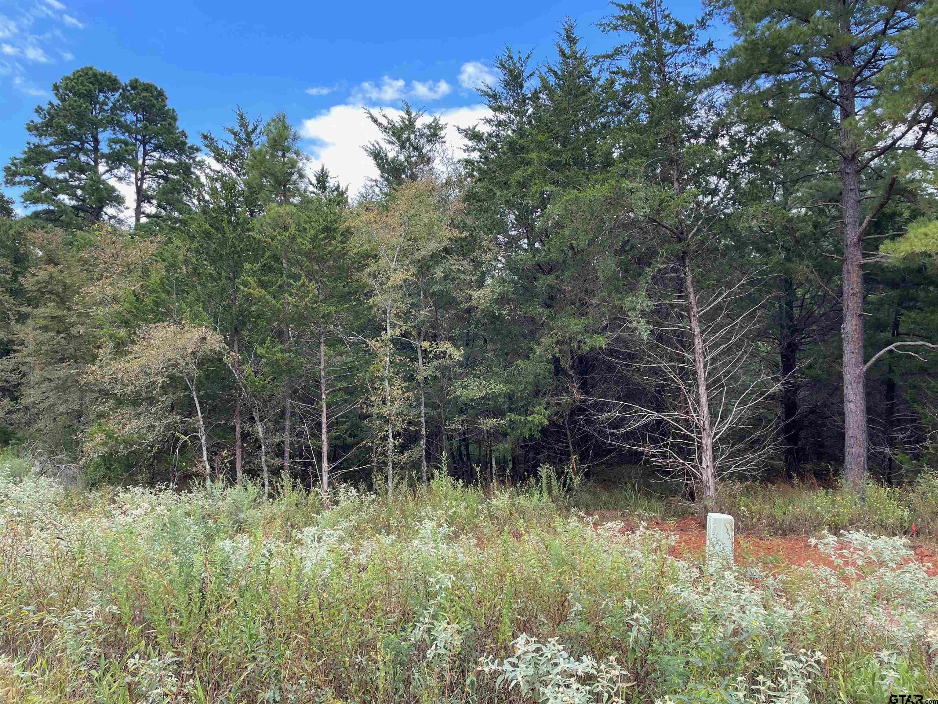 Tbd Cedarpark Place Lot 18, Lindale, Texas image 1