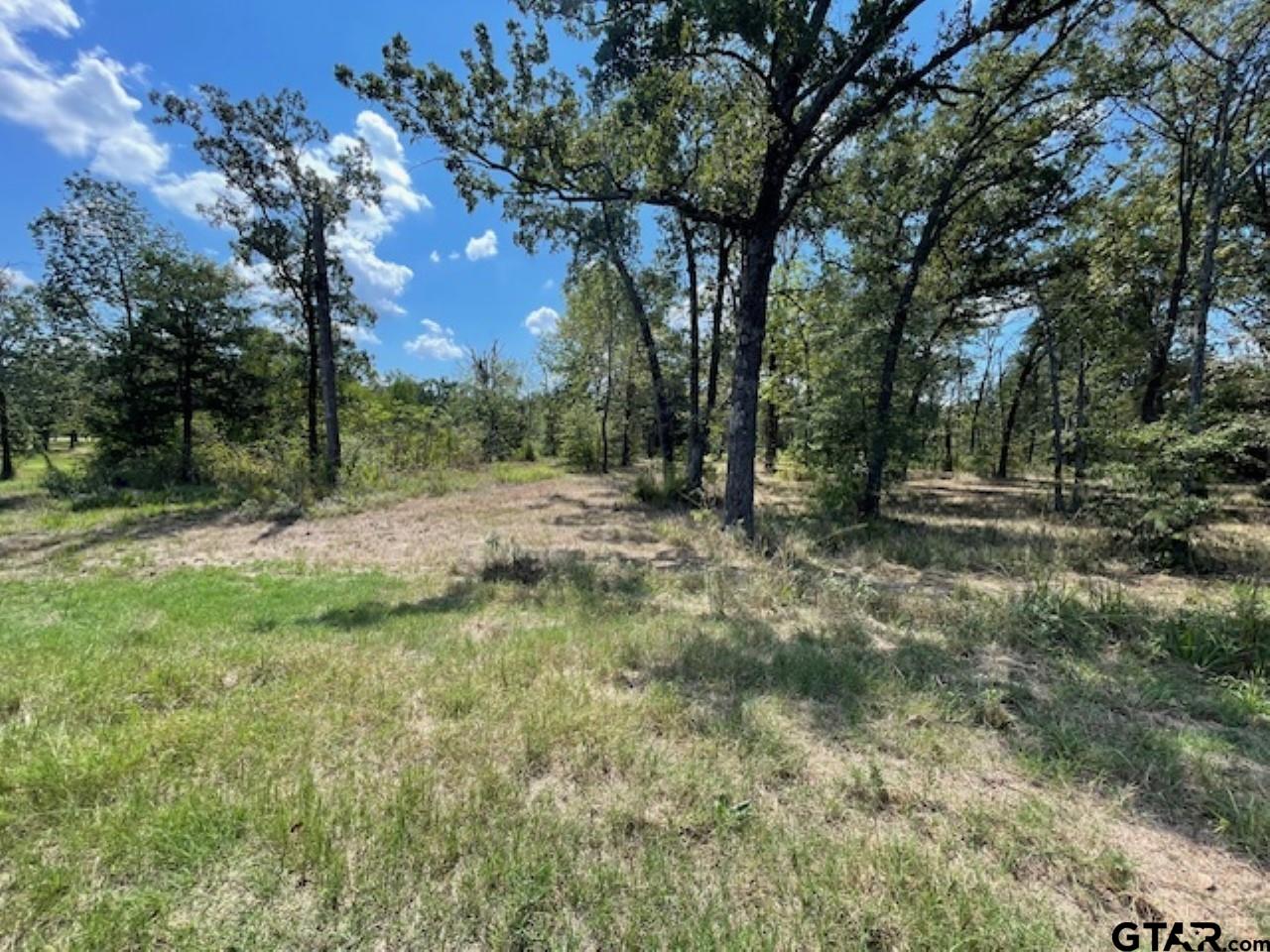 4778 E Us Hwy 69, Alba, Texas image 1