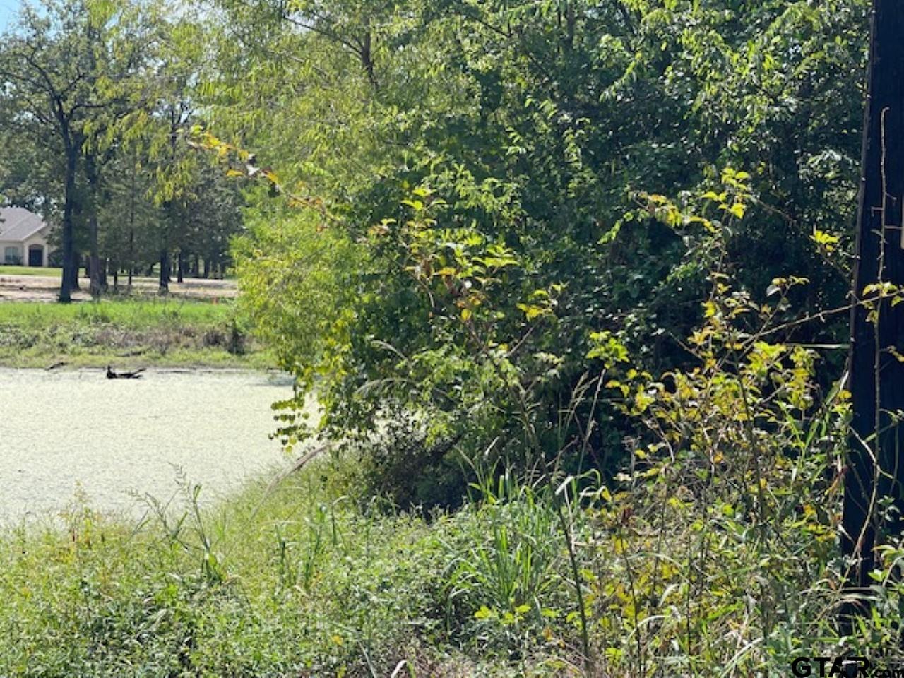 4778 E Us Hwy 69, Alba, Texas image 11