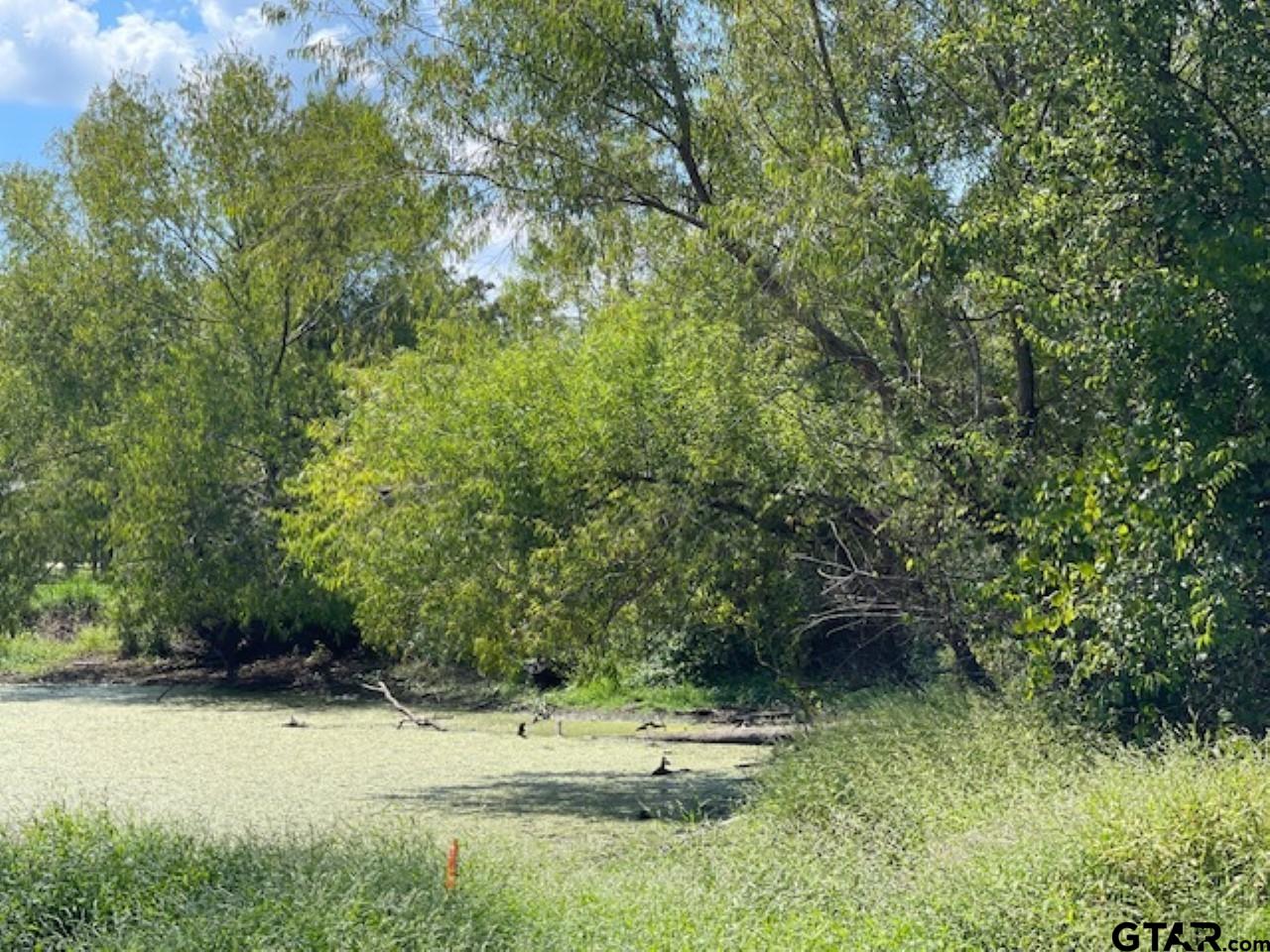 4778 E Us Hwy 69, Alba, Texas image 13