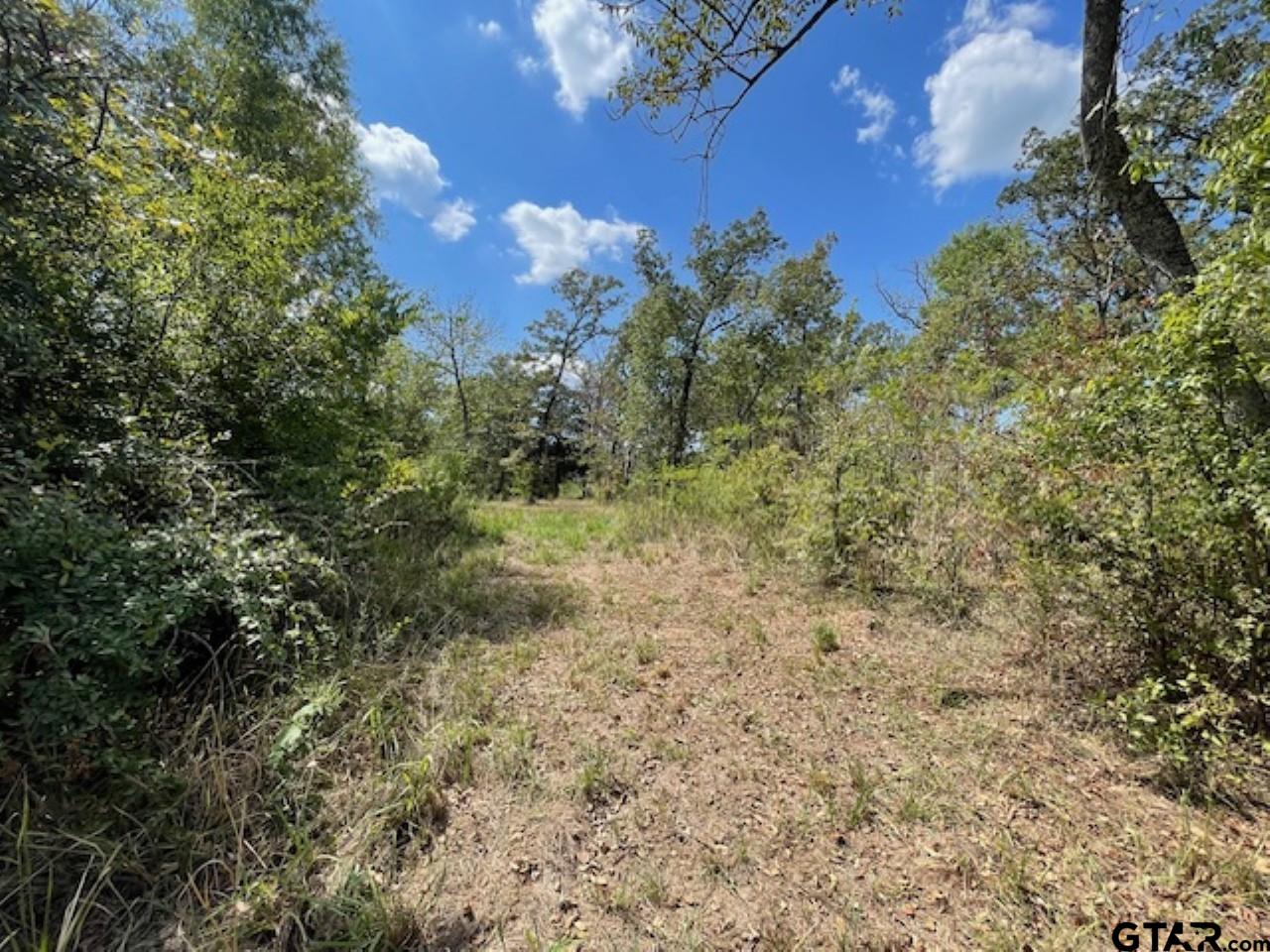 4778 E Us Hwy 69, Alba, Texas image 4