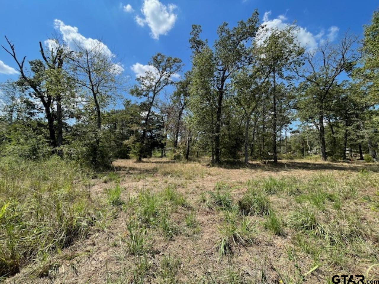 4778 E Us Hwy 69, Alba, Texas image 5