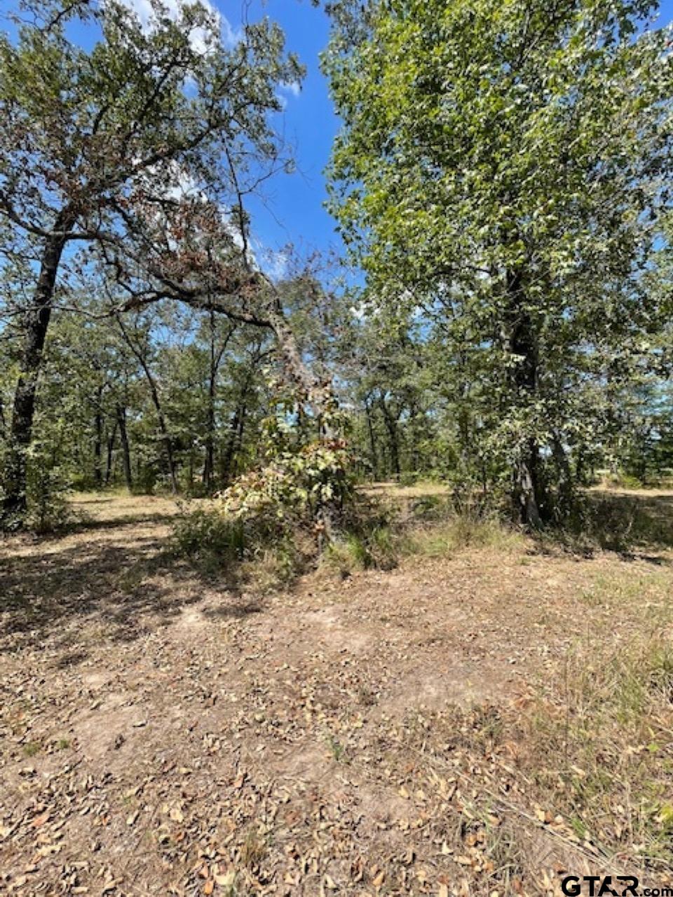 4778 E Us Hwy 69, Alba, Texas image 8