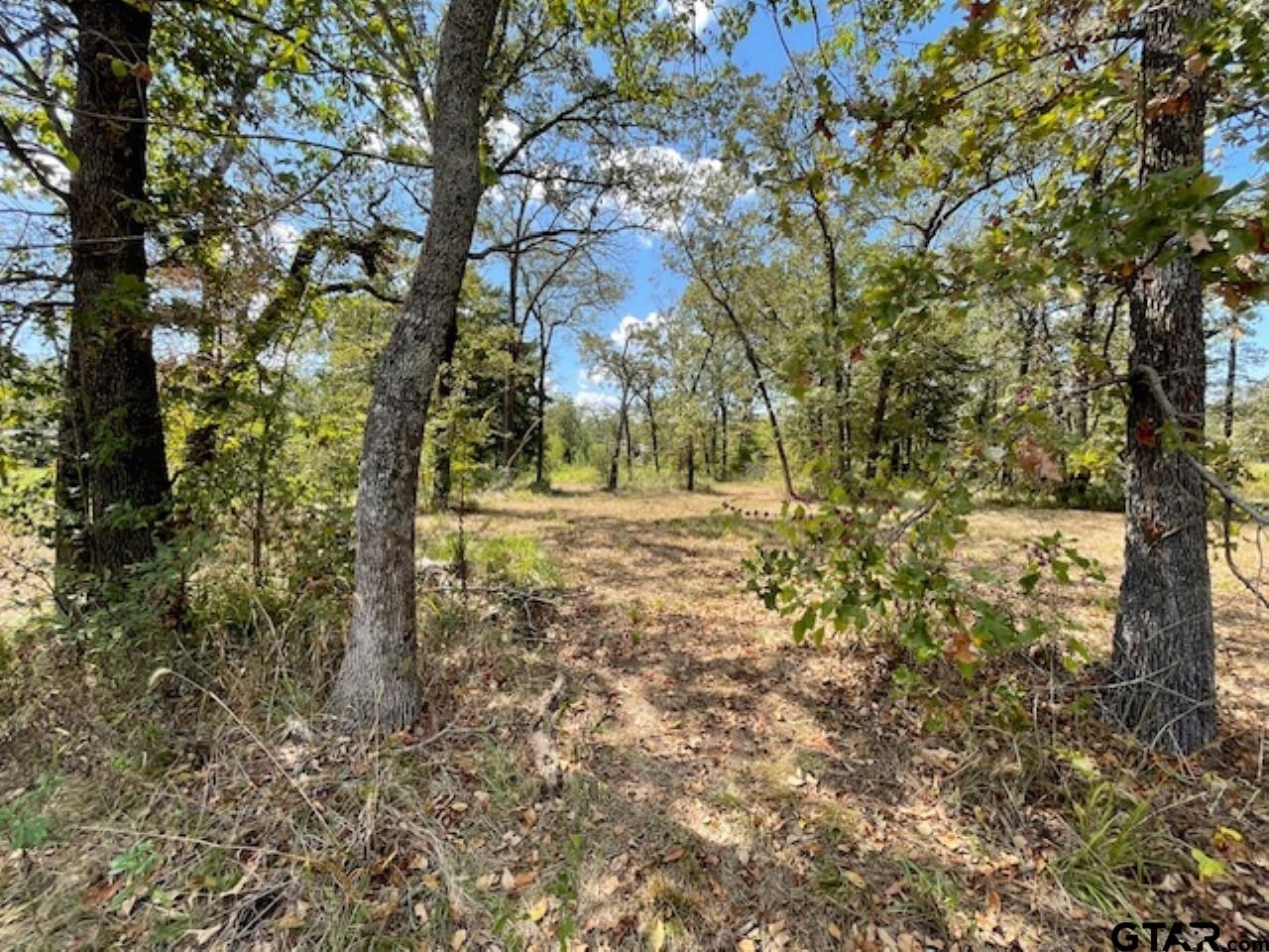 4778 E Us Hwy 69, Alba, Texas image 10
