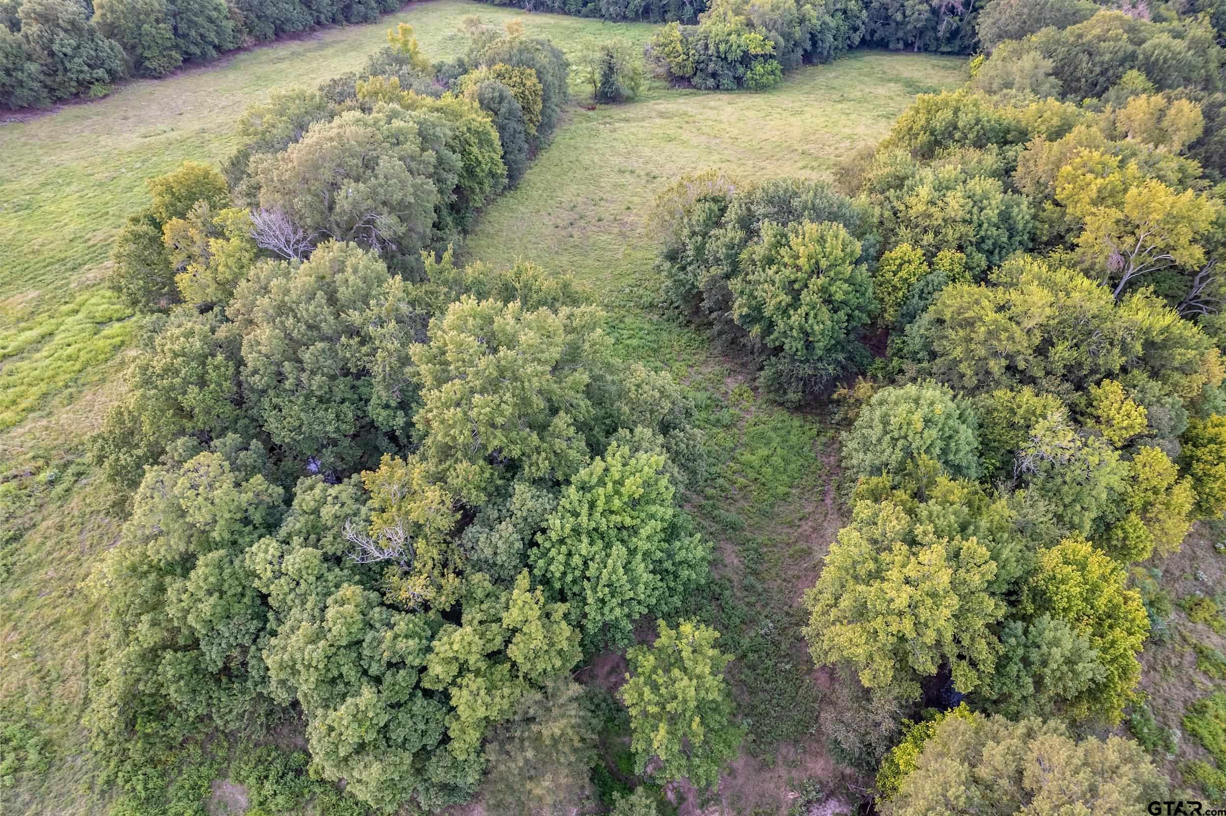 1564 Rs County Road 2460, Alba, Texas image 21