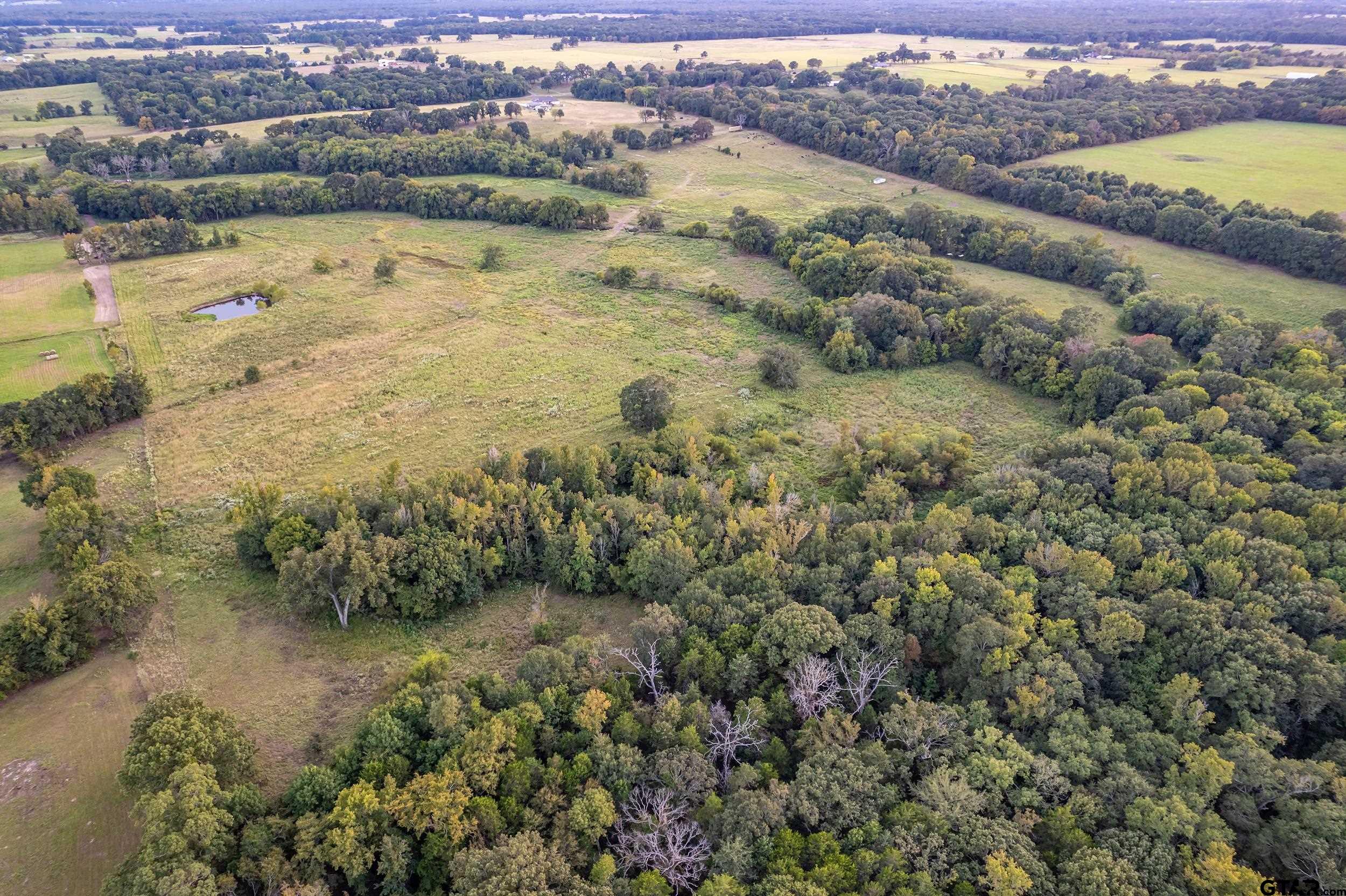 1564 Rs County Road 2460, Alba, Texas image 23