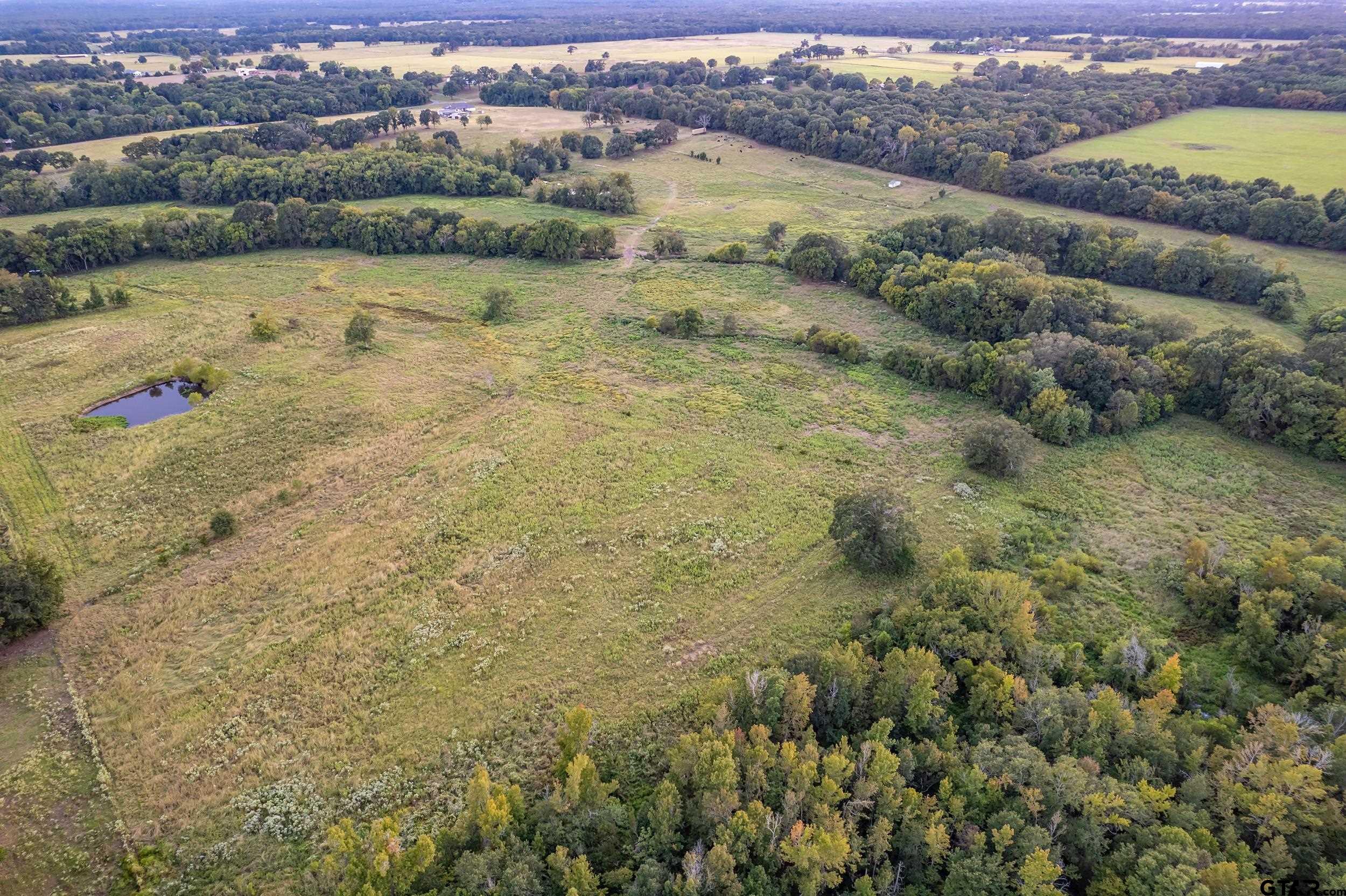 1564 Rs County Road 2460, Alba, Texas image 24