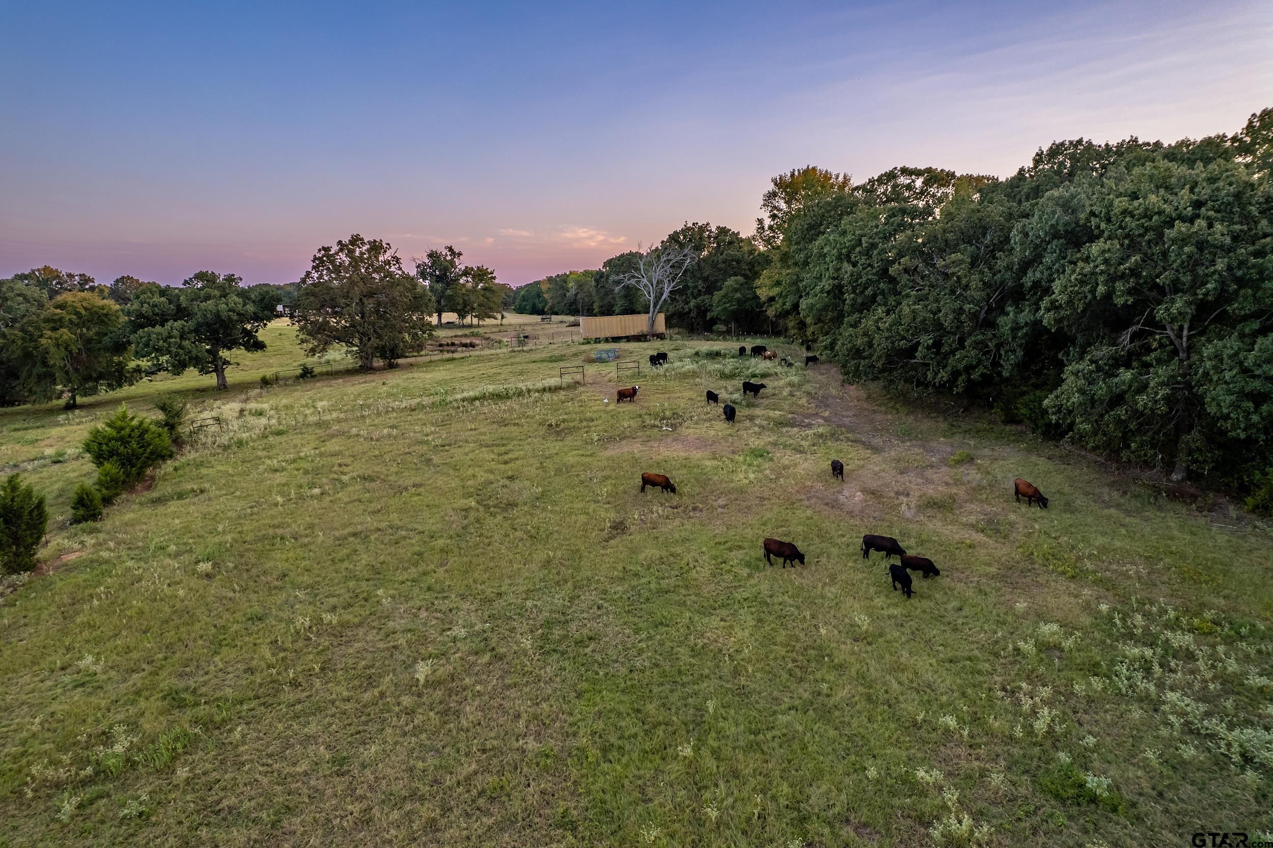 1564 Rs County Road 2460, Alba, Texas image 29