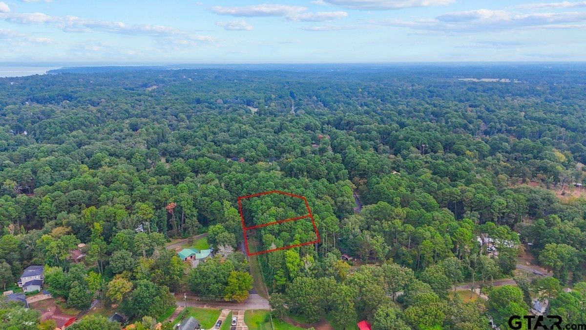 449 Charlya Dr., Bullard, Texas image 14
